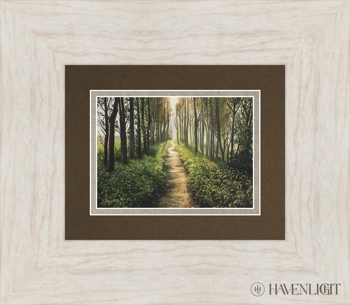 Forest Walkway - Beautiful Wooden Pathway for Gardens, Parks & Trails | Perfect for Outdoor Decor & Nature Walks