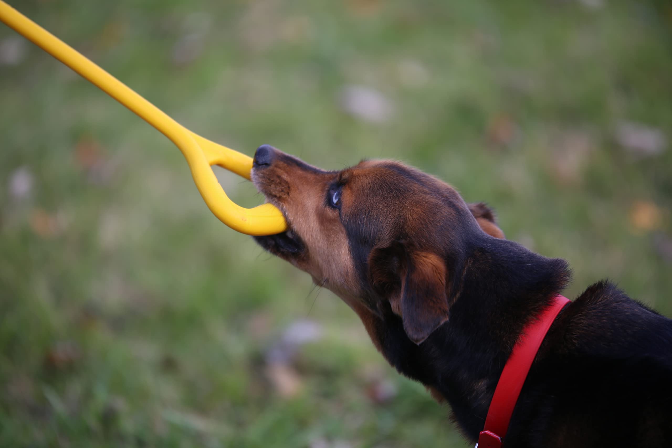 Jersey Dog Co Ultimate Durable Dog Tug Toy - 23