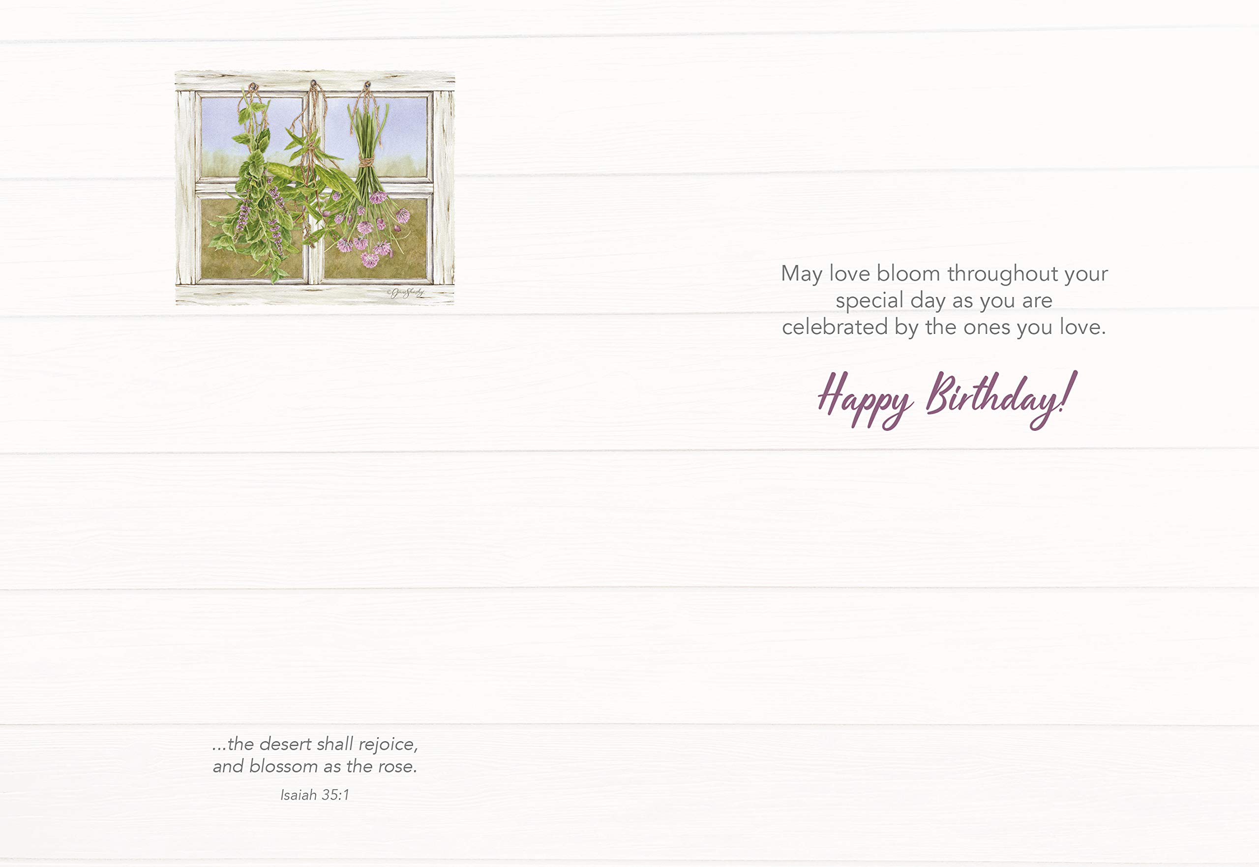 HTL Card Boxed Birthday Herb Garden Kit - Set of 12 Greeting Cards with Envelopes | Perfect for Birthday Gifts, Thank You Cards & Home Gardening Enthusiasts