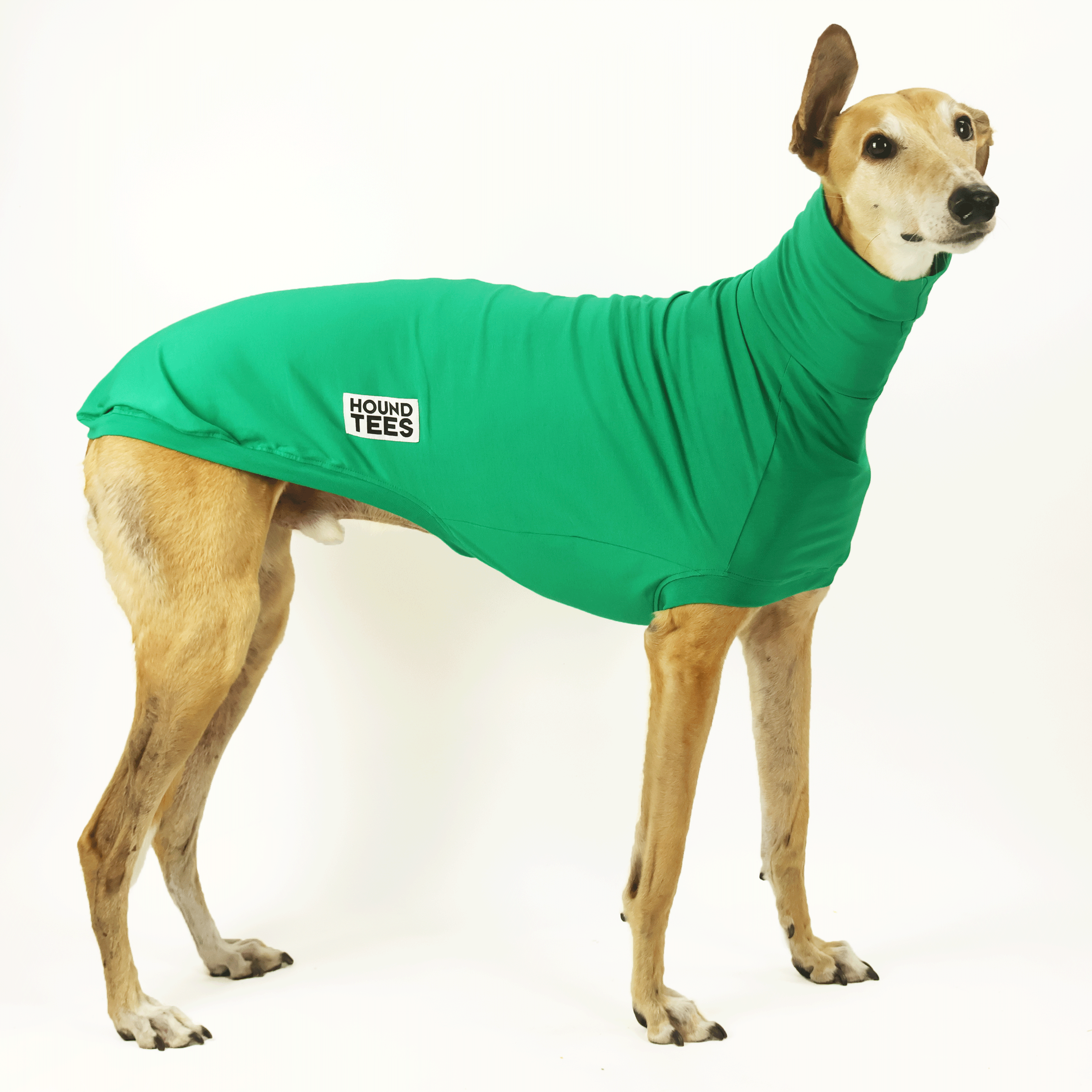 Lounge Lizard Greyhound Sleeveless Base Layer - Moisture Wicking Performance Shirt for Running, Cycling & Outdoor Activities
