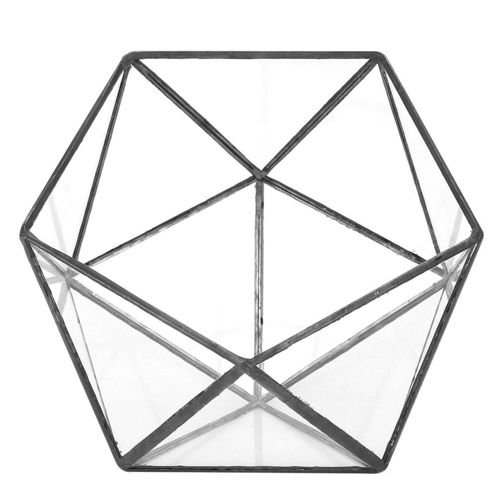 Fockety Glass Geometric Terrarium for Moss & Succulents - Modern Tabletop Plant Display - Perfect for Home Decor, Office Desk & Wedding Centerpieces