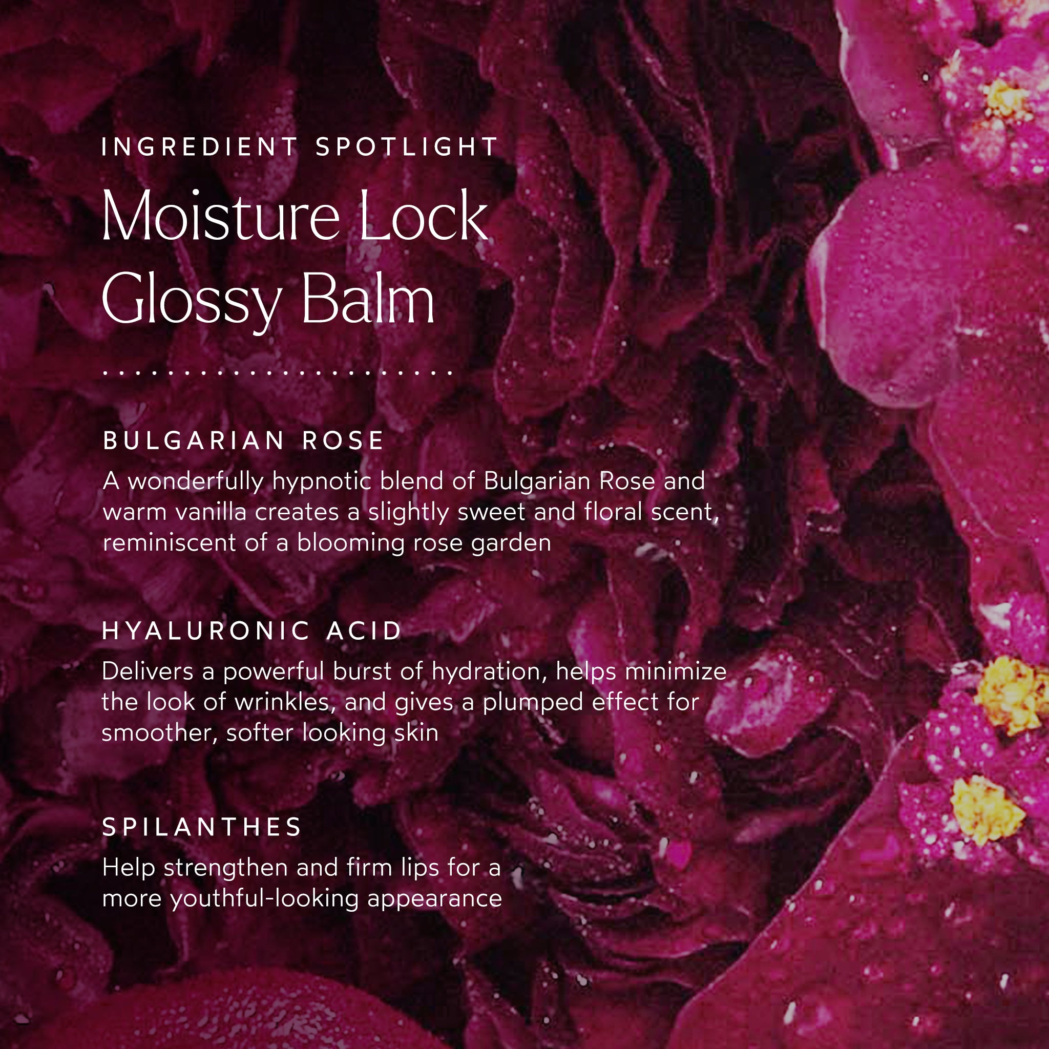 Best Moisture Lock Glossy Lip Balm for Dry Lips - Hydrating & Long-Lasting - Perfect for Winter, Outdoor Activities & Daily Care