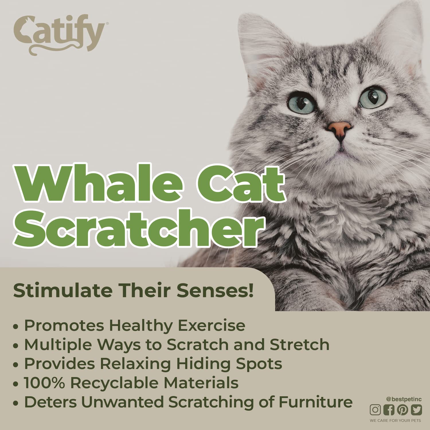 Best Pet Supplies Whale-Shaped Cat Scratcher Cardboard - Durable & Eco-Friendly Cat Scratching Post for Indoor Cats, Perfect for Playtime & Nail Care in Living Room or Bedroom