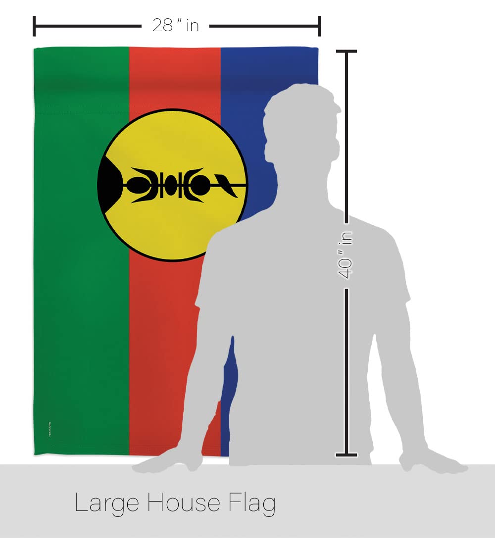 New Caledonia Flag 28