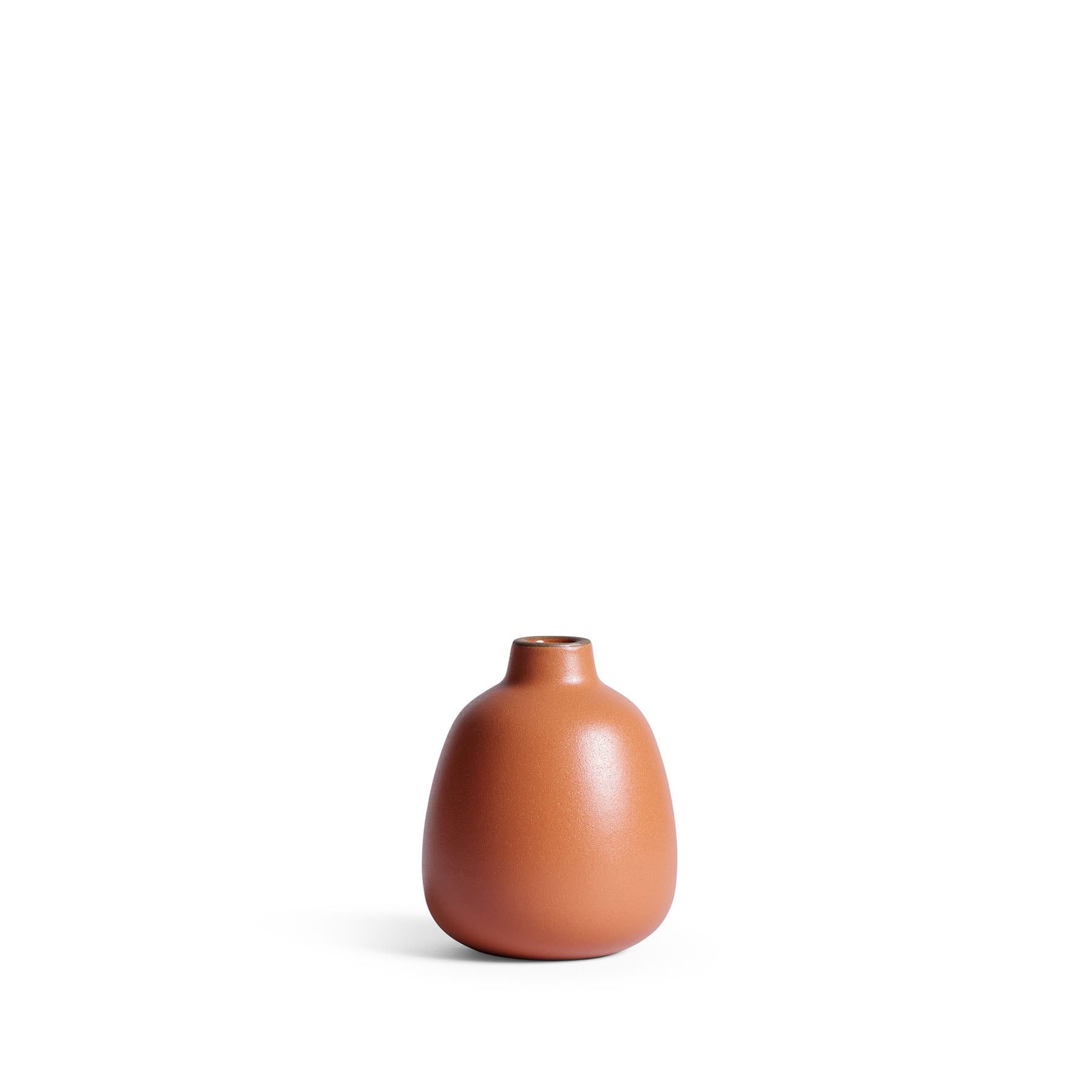 Elegant Glass Bud Vase for Fresh Flowers - Perfect for Weddings, Home Decor & Table Centerpieces