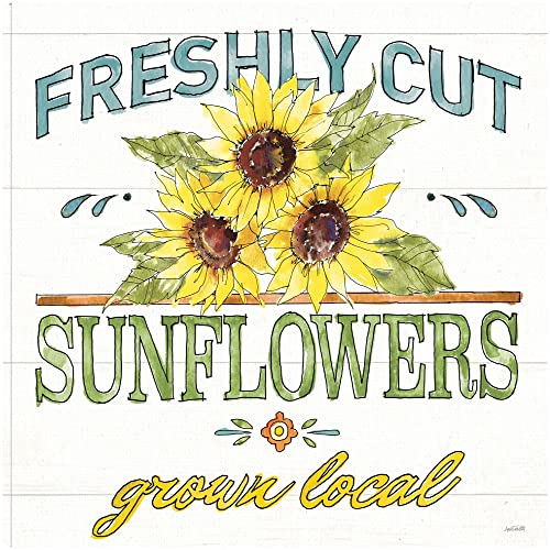 Sunflower Fields III