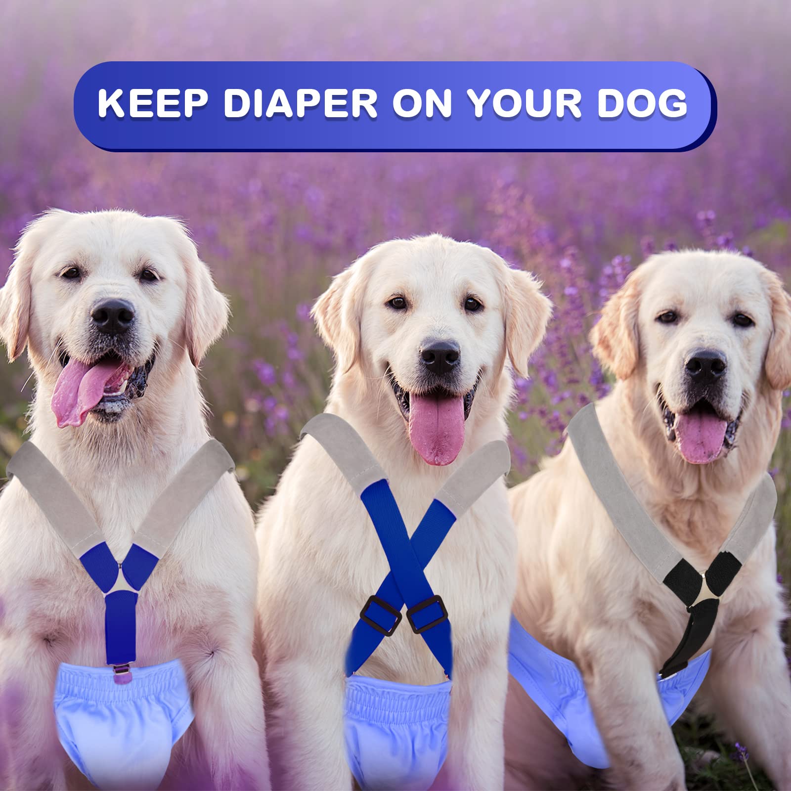Saintrygo 2 Pack Adjustable Dog Suspenders for Diapers - Belly Bands Harness to Keep Diapers Secure for Small, Medium & Large Dogs (Black, Blue, Small) - Perfect for Incontinence, Training & Travel