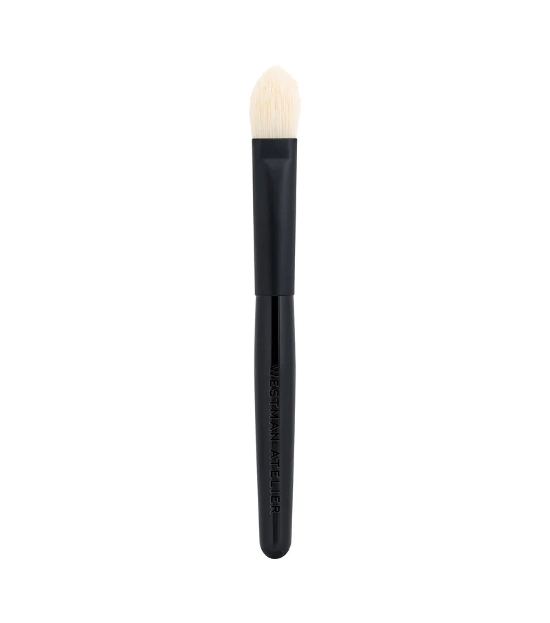 Professional Eye Shadow Brush Set for Makeup - Soft Bristles for Smooth Blending & Precise Application - Perfect for Everyday Use & Special Occasions