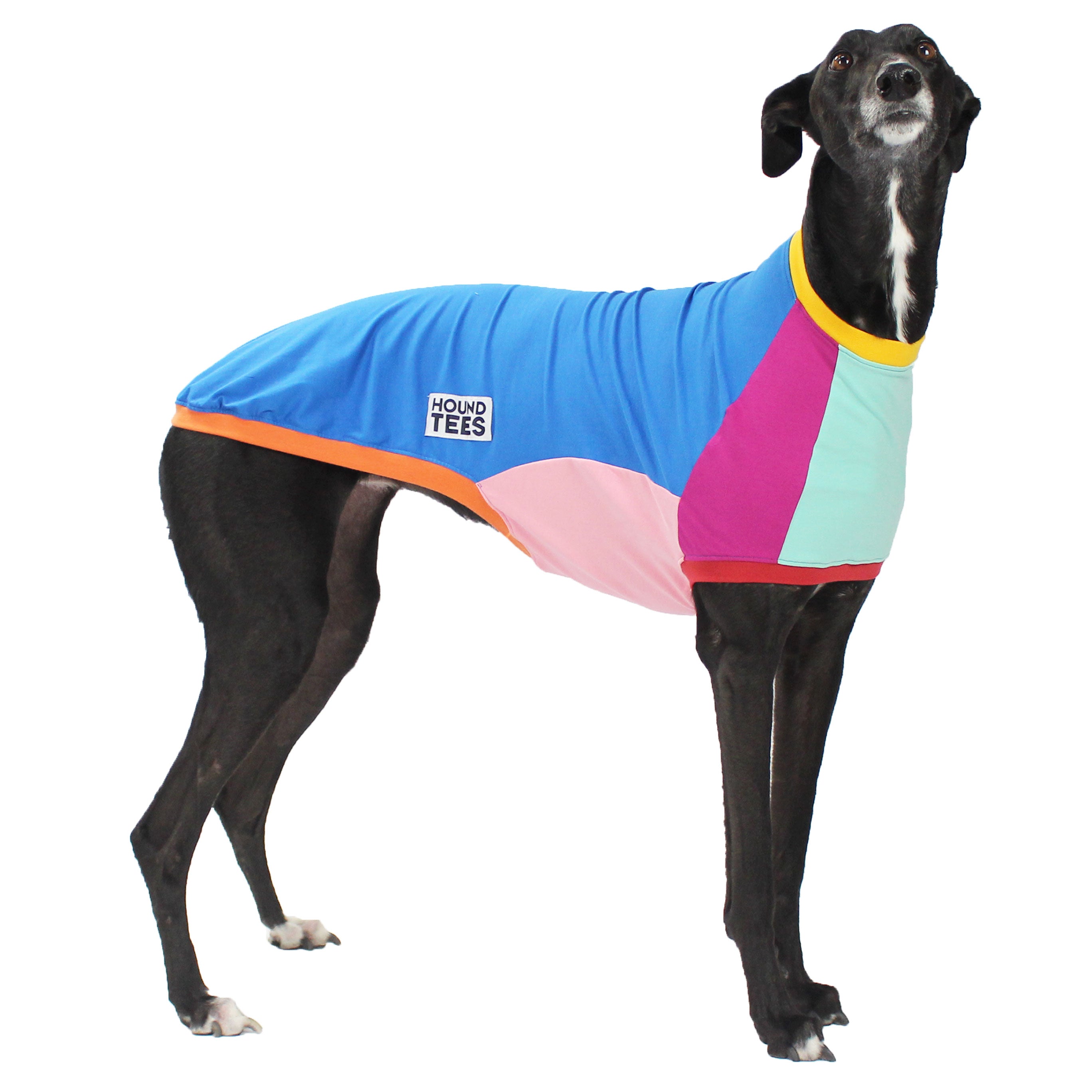Frankie Jester Greyhound Sleeveless Hound Tee - Comfortable Dog Lover T-Shirt for Casual Wear, Dog Walking & Pet Owner Apparel - Perfect Gift for Greyhound Enthusiasts