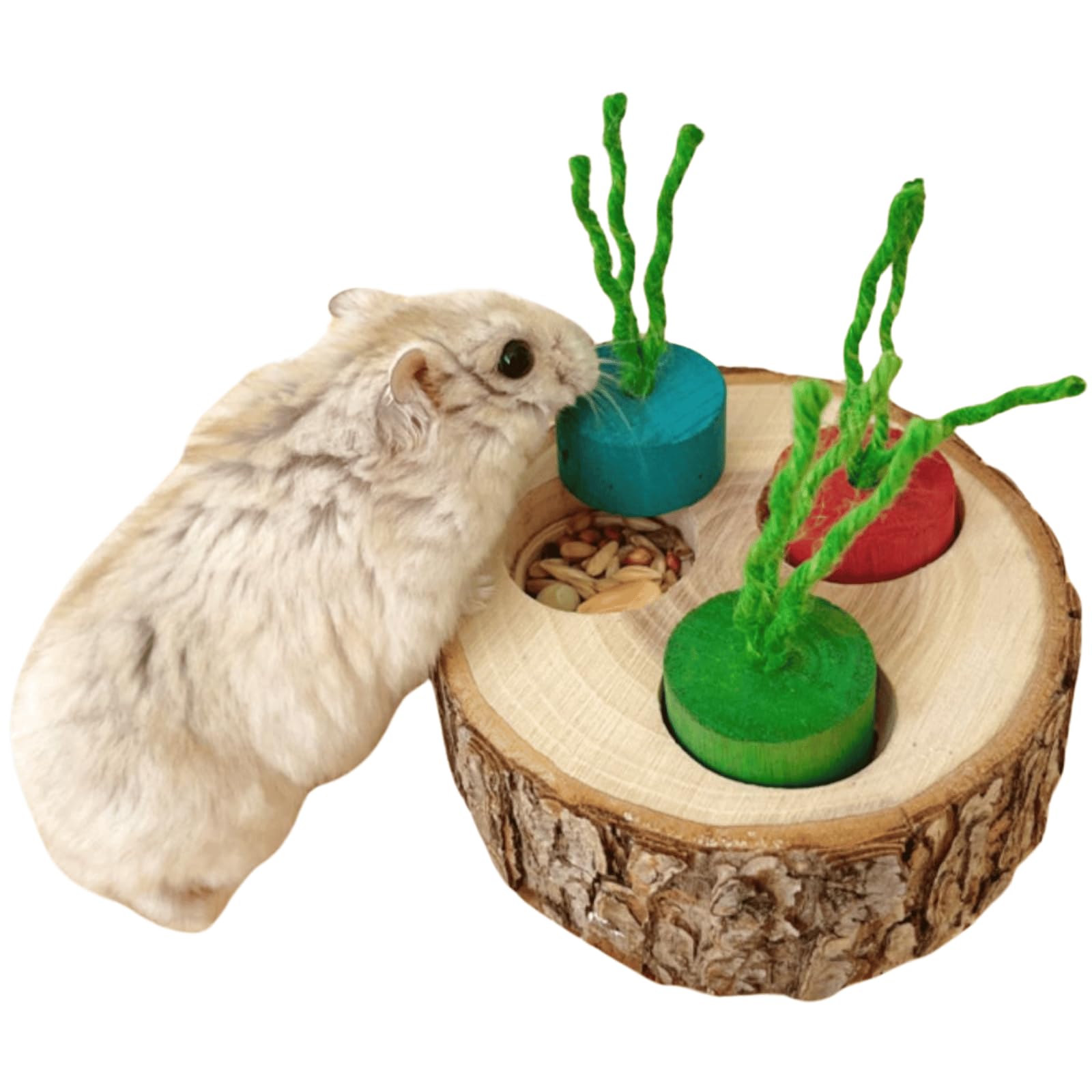 3-in-1 Wooden Small Animal Foraging Toys - Interactive Treat Dispenser Enrichment Toys for Guinea Pigs, Hamsters, Rabbits, Chinchillas, Rats & Gerbils (Colorful) - Stimulate Natural Foraging Instincts & Keep Pets Entertained