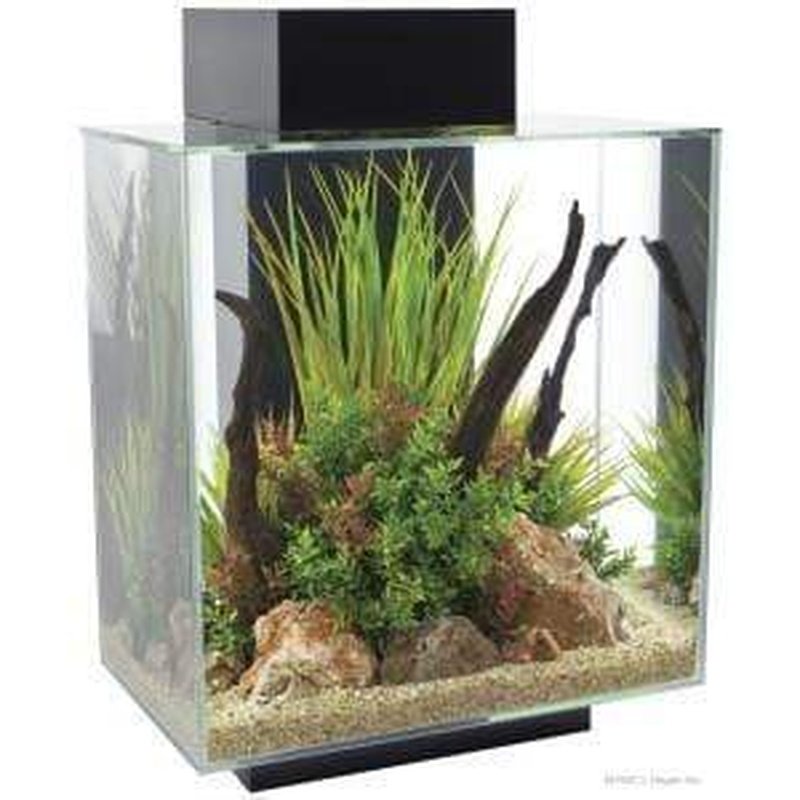 Fluval EDGE 2.0 LED Aquarium Kit - 12 Gallon (46L) Black Modern Fish Tank with High-Clarity Glass for Home or Office Decor