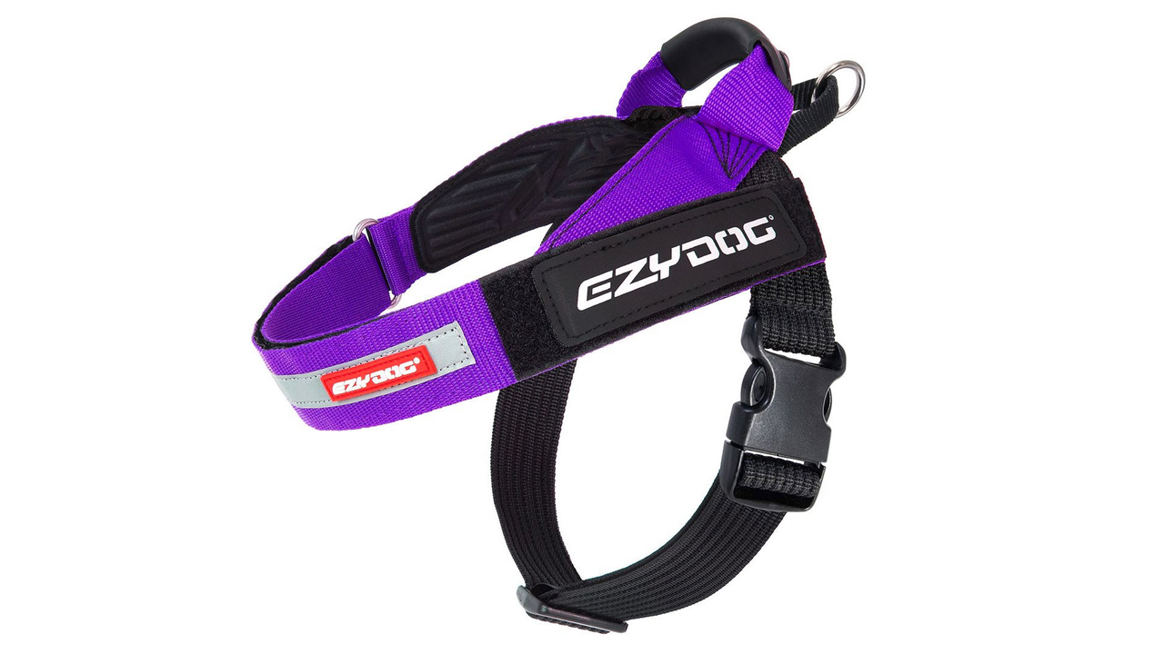 EzyDog Express Harness - Adjustable No-Pull Dog Harness in Purple | Perfect for Walking, Running & Outdoor Adventures with Your Pet