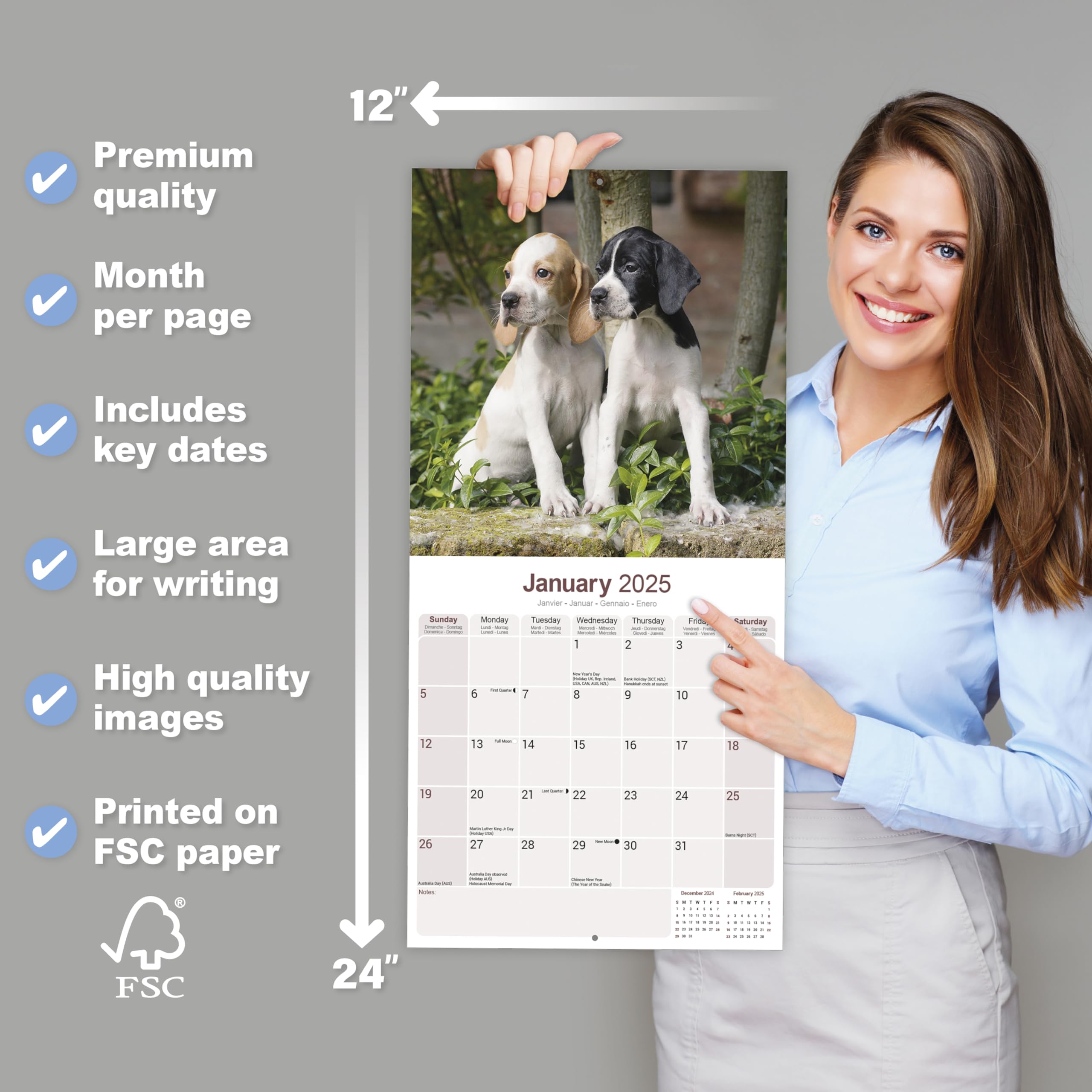 Pointer Dog Breed 2025-2026 Wall Calendar | 16-Month Square Planner for Dog Lovers - Perfect for Home, Office & Gifts