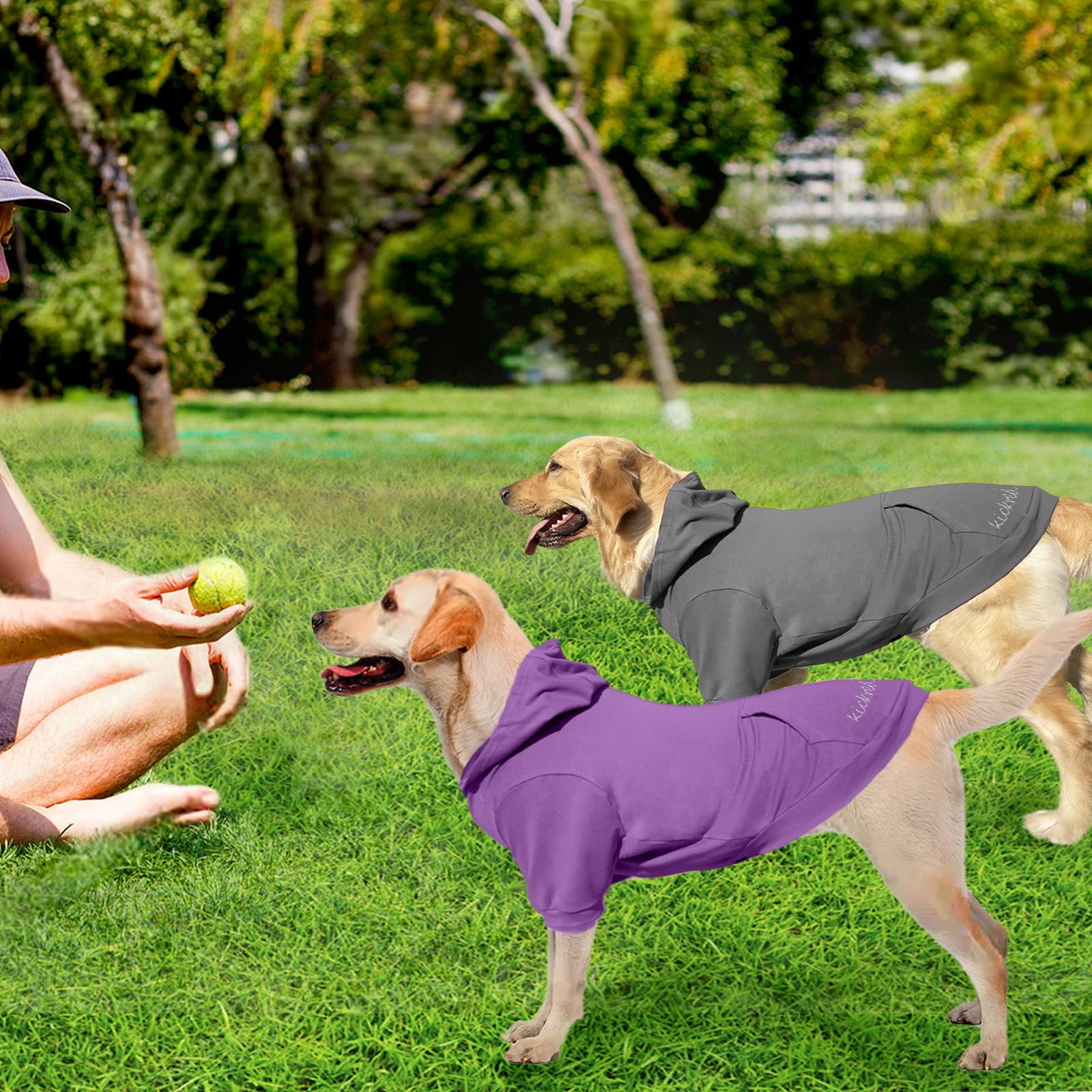 2 Pack Soft Cotton Dog Hoodie Sweater - Cozy Pet Clothes with Pocket & Leash Hole for Small Medium Large Dogs - Dark Grey & Purple Sleeved (Large) - Perfect for Winter Walks & Indoor Comfort
