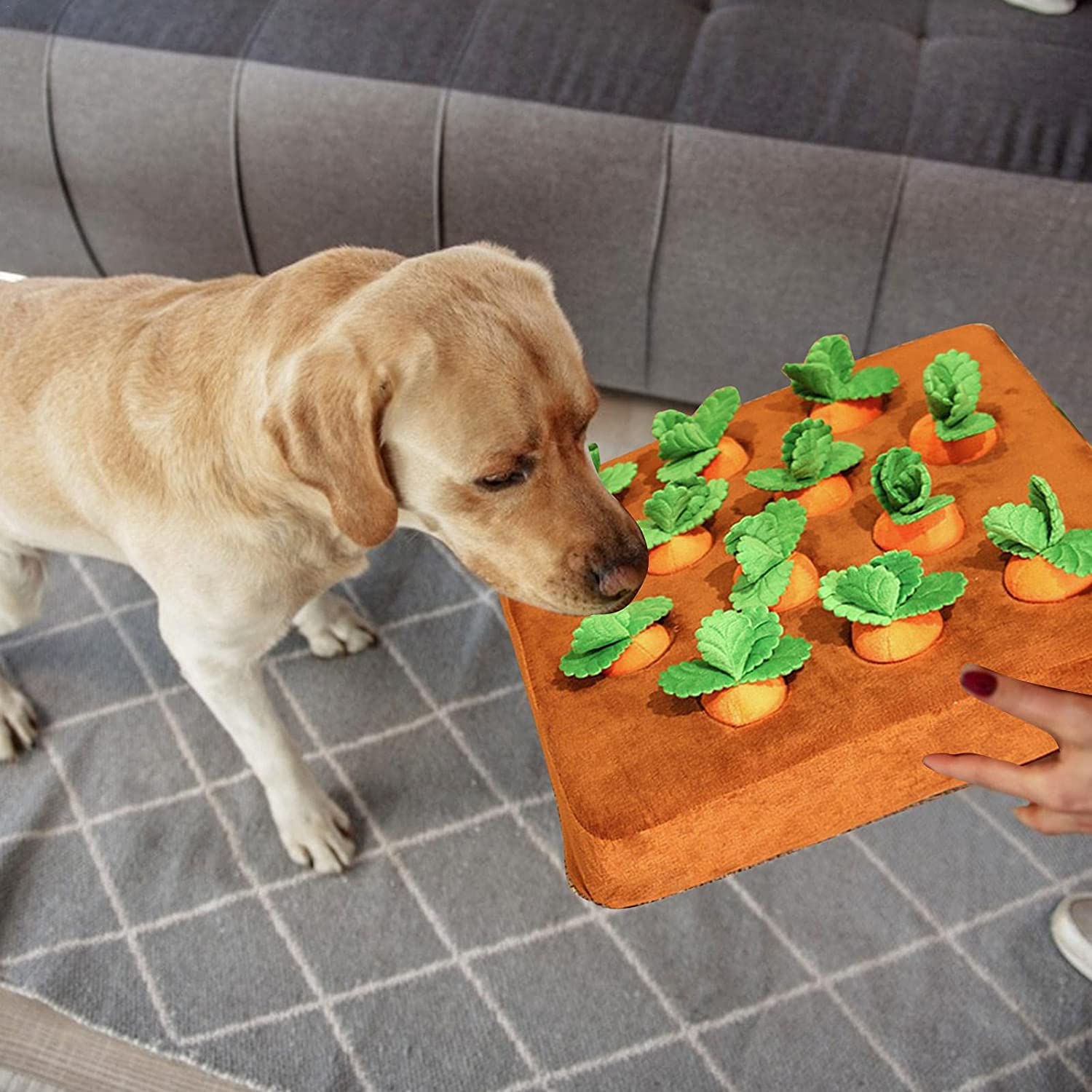 Interactive Snuffle Mat with 12 Plush Carrot Toys - Dog & Cat Puzzle IQ Game for Mental Stimulation | Soft Harvest-Themed Pet Toy for Hide & Seek, Slow Feeding & Anxiety Relief (Orange)