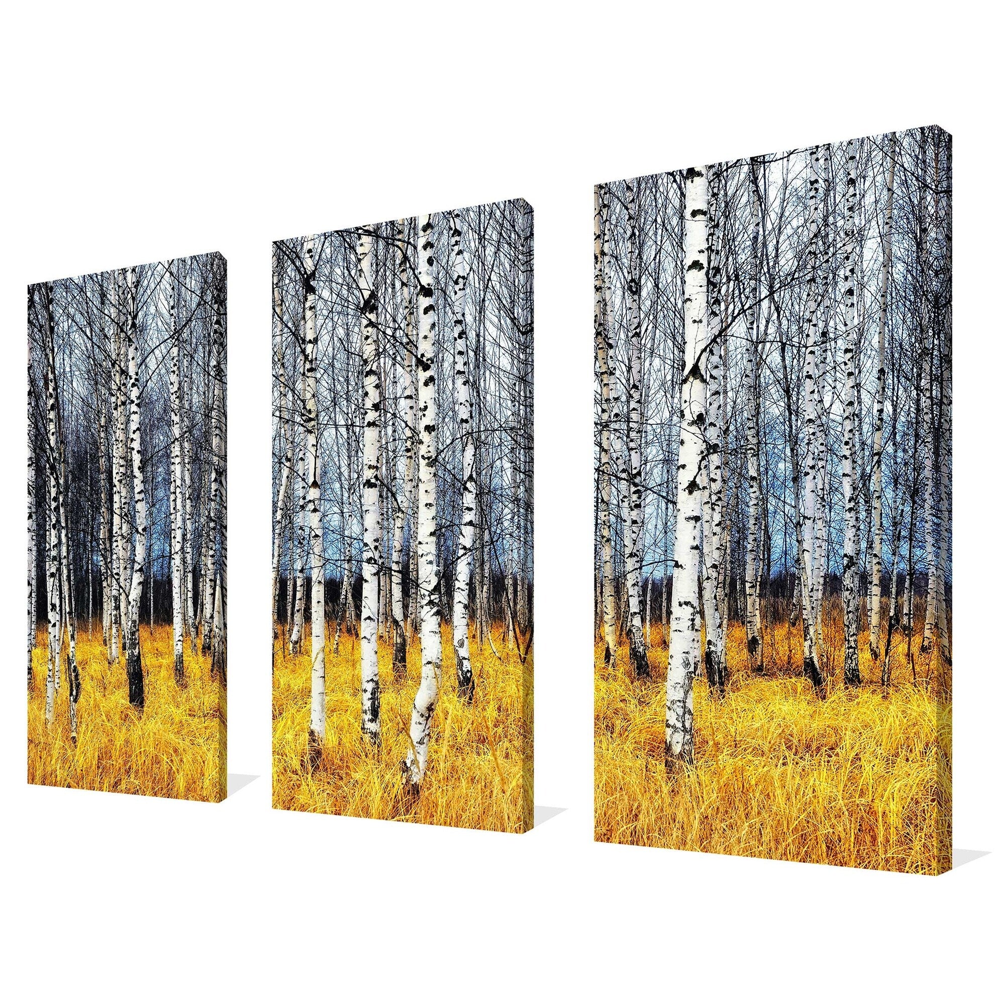 Birch Trees 2 3-Piece Canvas Wall Art Set - Nature Inspired Decor for Living Room, Bedroom & Office
