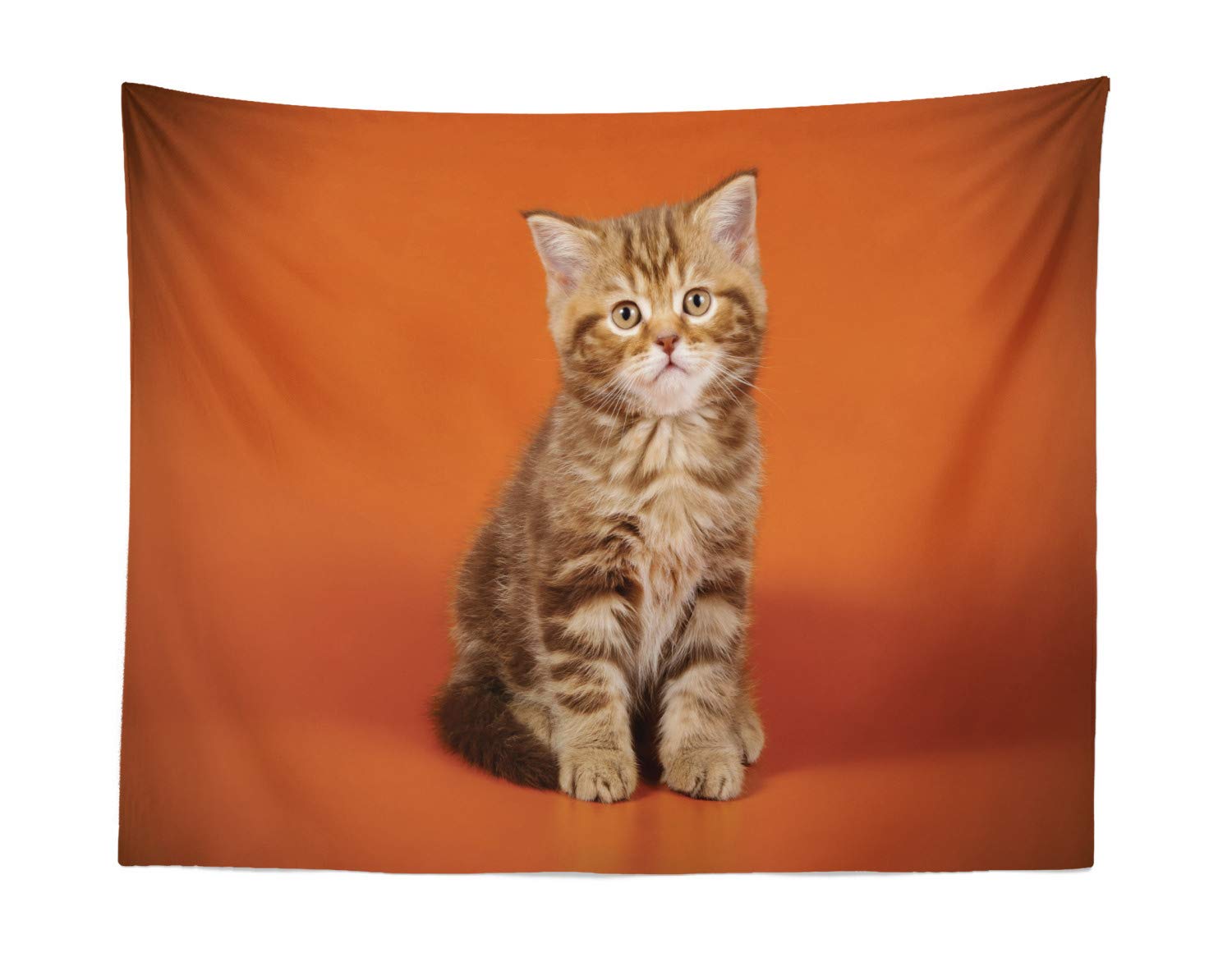 Ambesonne Scottish Straight Shorthair Cat Tapestry - Orange & Umber Kitty Wall Hanging Decor for Bedroom, Living Room, Dorm - 28x23 Inch Fabric Art - Perfect for Cat Lovers & Cozy Home Decor