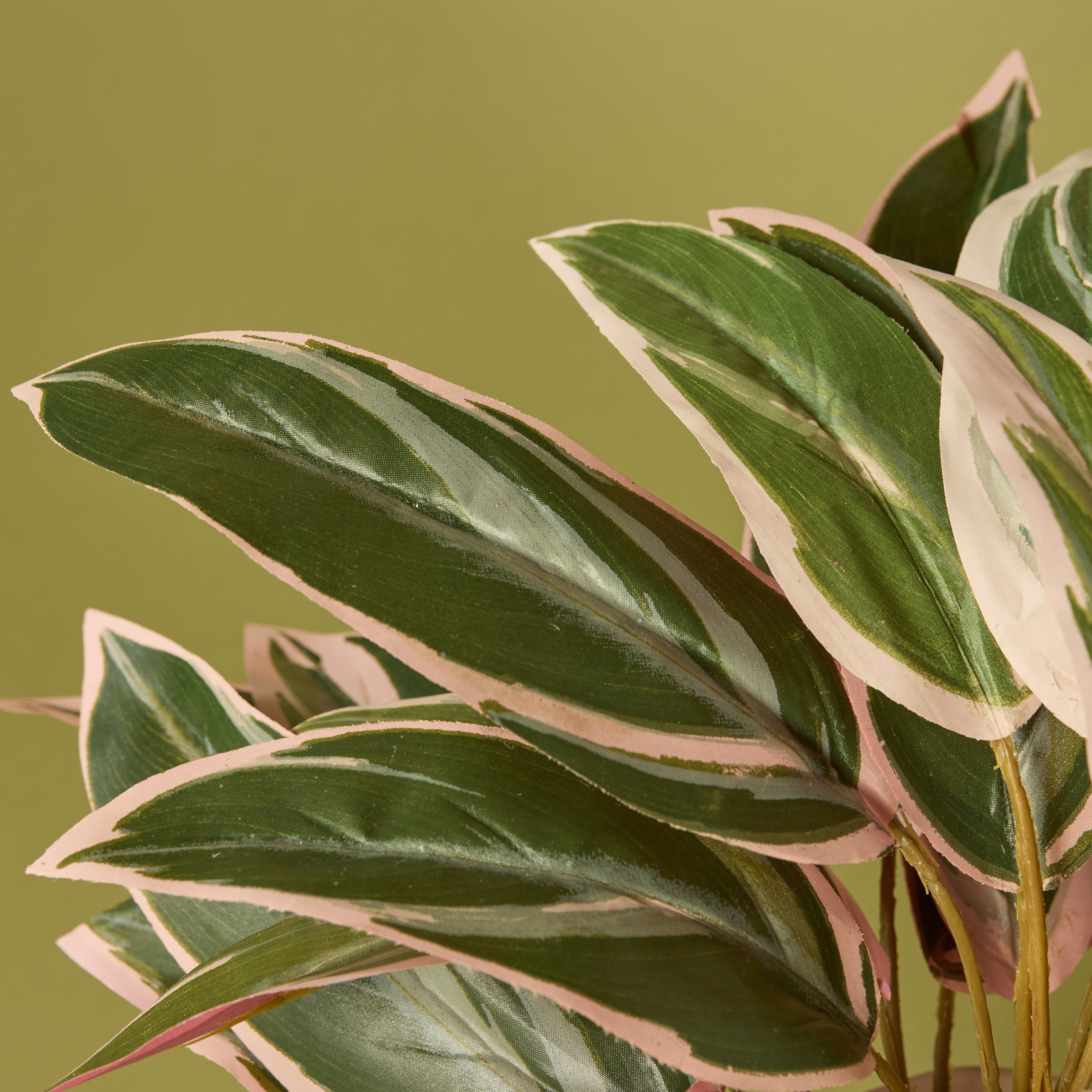 Artificial Cordyline Plant in Maliah Pot - 39cm Cream Faux Tropical Decor for Home, Office & Indoor Greenery