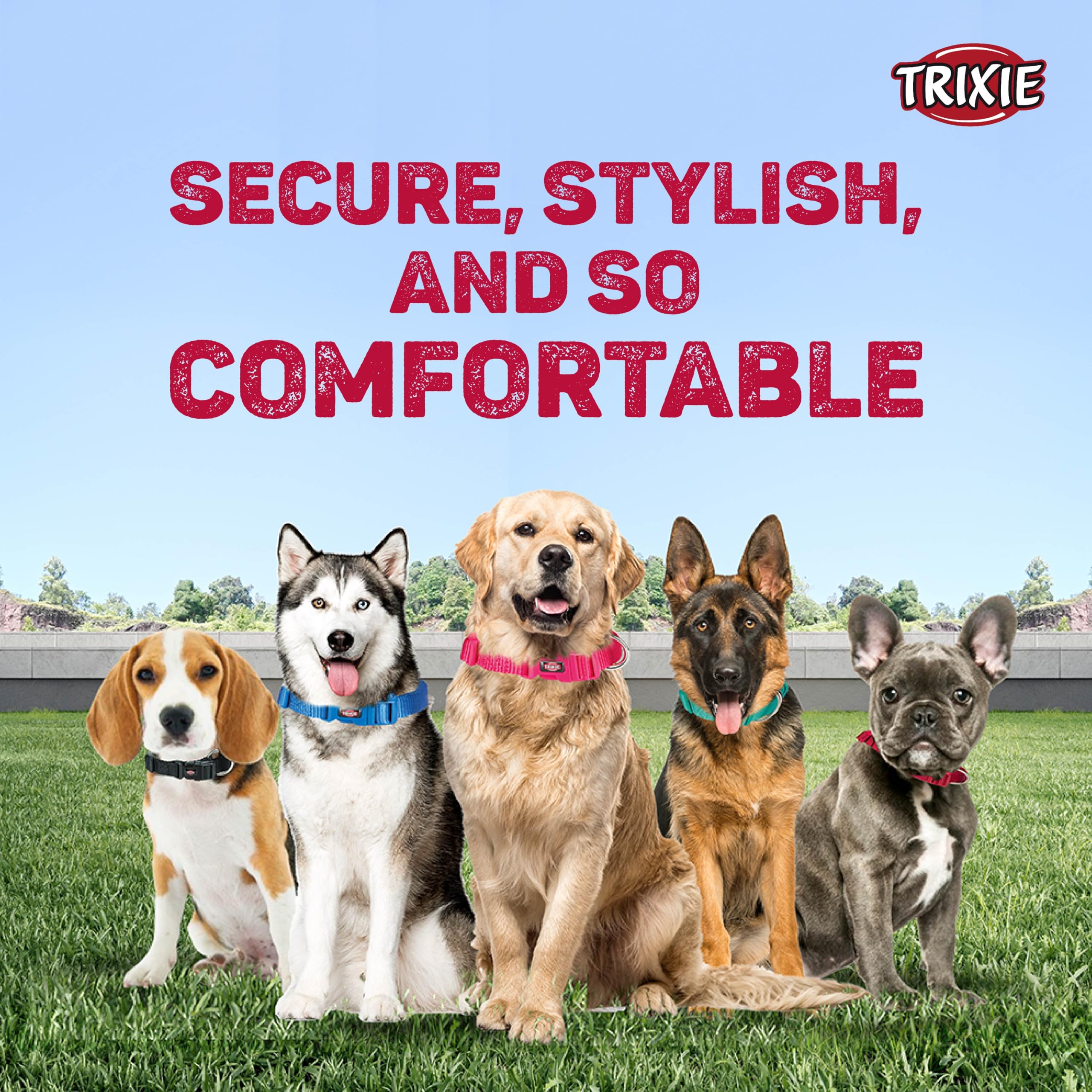 Premium Adjustable Dog Collar with Leash Connector - Stylish Ocean Blue Design (35-55cm M-L) for Medium to Large Dogs - Perfect for Daily Walks, Training & Outdoor Adventures