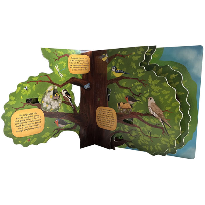 Discovering The World Of Bird Nests - Illustrated Board Book for Kids | Educational Nature Exploration | Perfect for Bedtime Stories & Classroom Learning