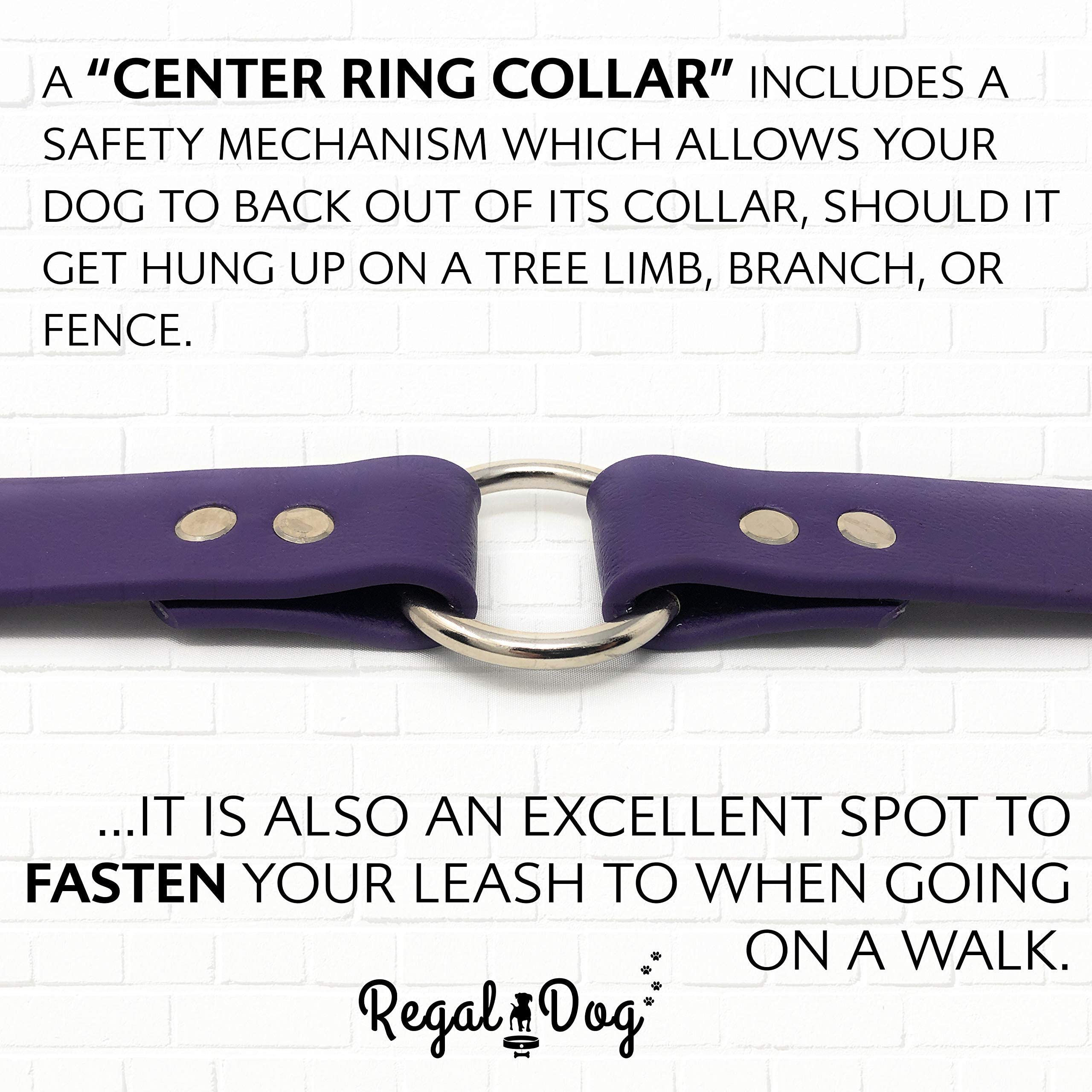 Regal Dog Products Medium Purple Biothane Dog Collar - Heavy Duty Double Buckle & D Ring, Adjustable Chew Resistant Waterproof Collar for Small to Medium Dogs | Perfect for Outdoor Adventures, Daily Walks & Training Sessions