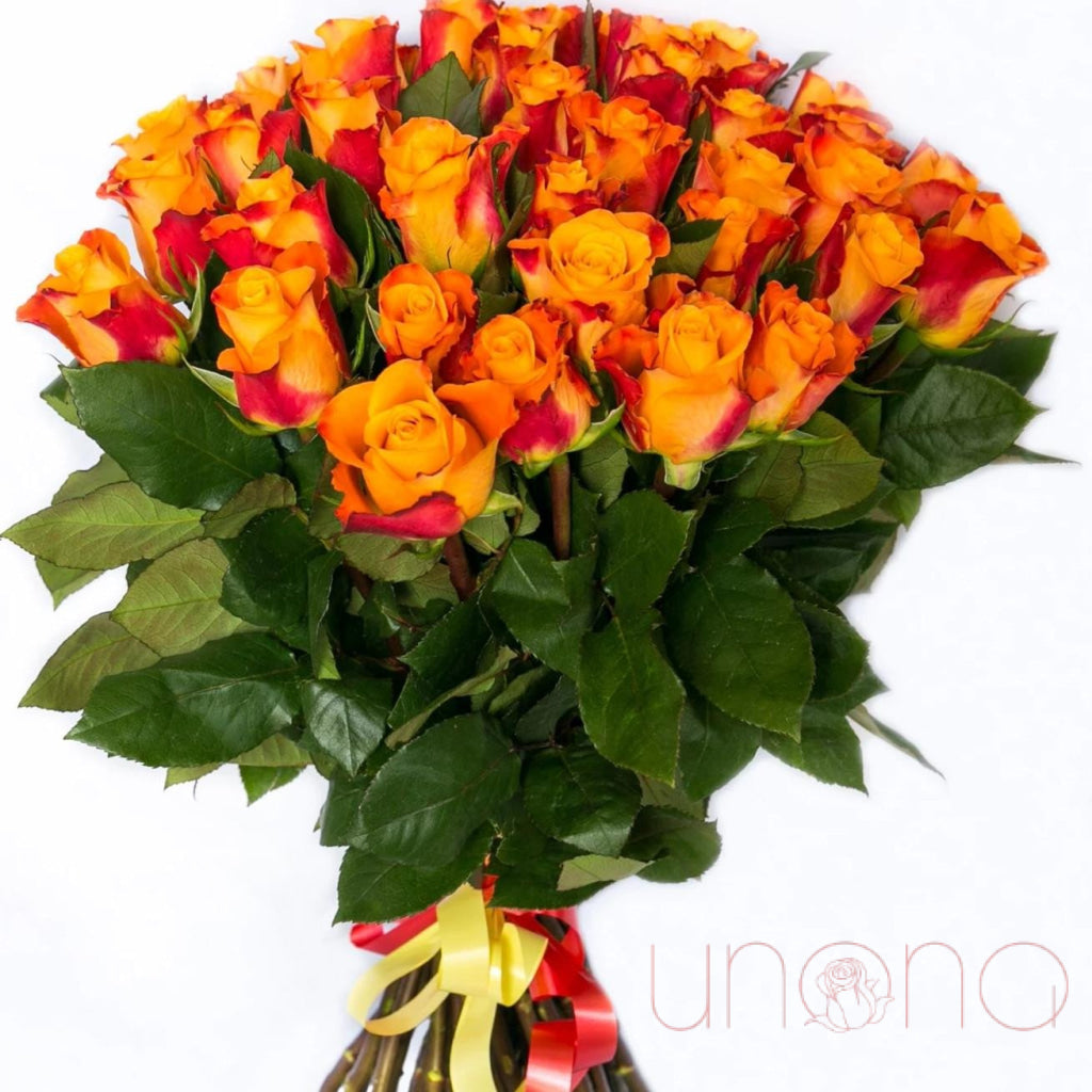 Fresh Rose Madly Bouquet - Premium Long-Lasting Roses for Valentine's Day, Anniversary & Romantic Gifts (Perfect for Weddings, Proposals & Home Decor)