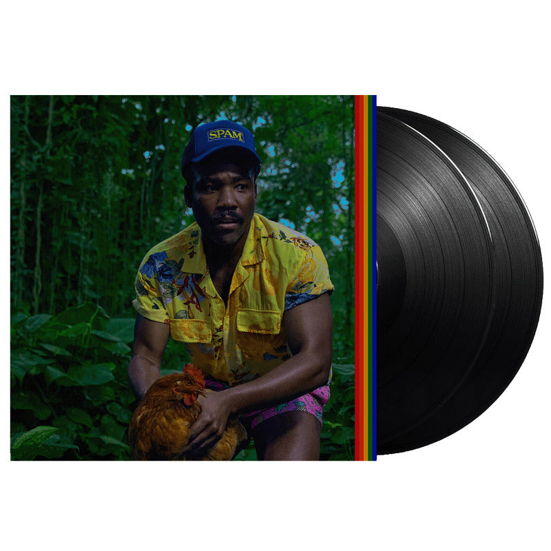 Childish Gambino - Bando Stone and The New World Vinyl LP (Pre-Order) | Limited Edition Collectible Music Album for Home Listening & Gift Giving