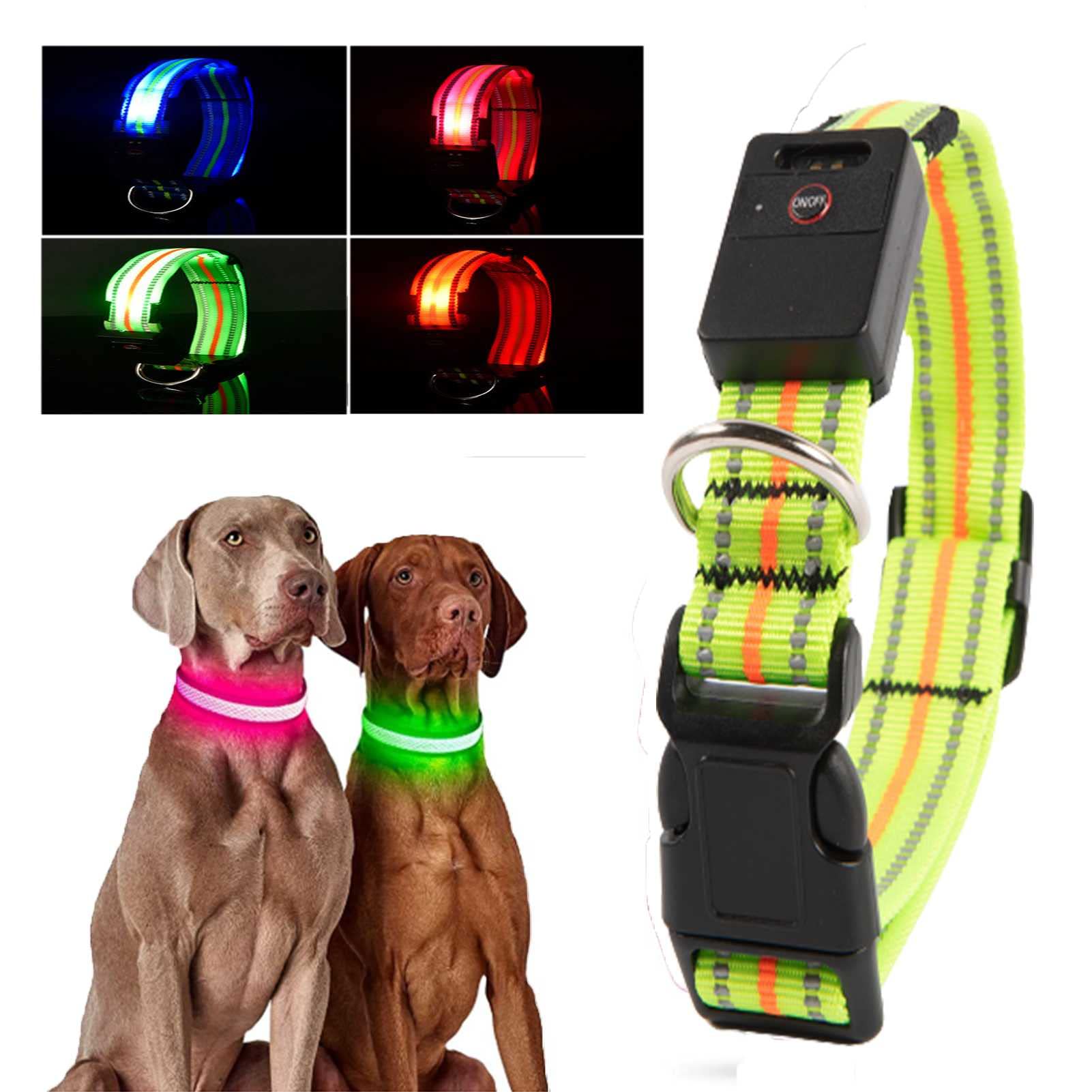 Rechargeable Waterproof LED Dog Collar - Light Up Safety Collar for Small, Medium & Large Dogs | Glow in the Dark Pet Collar for Night Walking, Jogging & Outdoor Adventures