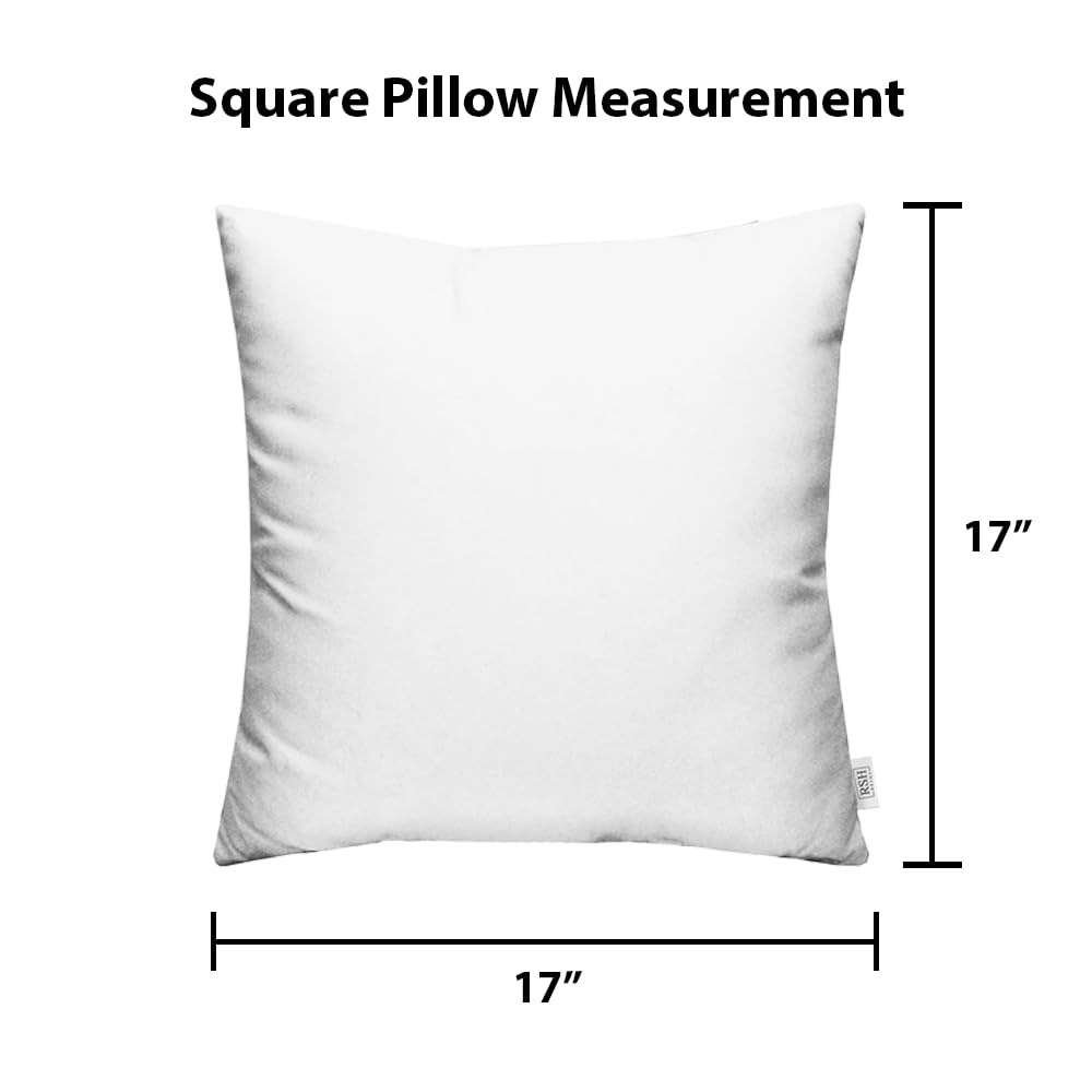 Square Throw Pillows Set of 2 - 17x17