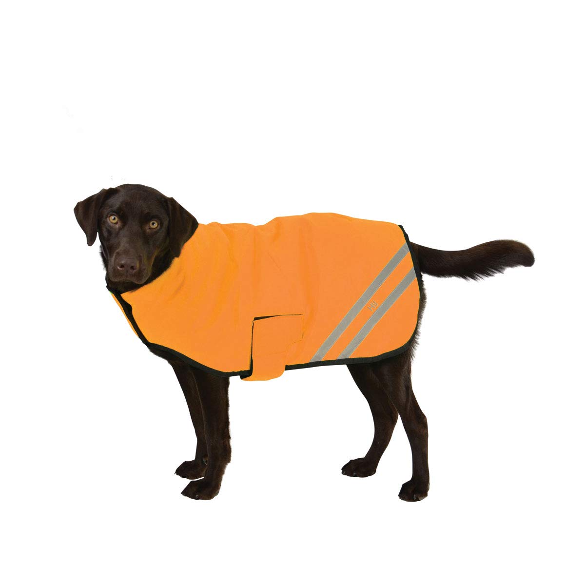 Waterproof Reflective Dog Coat for Night Walks - High Visibility Pet Raincoat for Safety in Rainy or Low Light Conditions