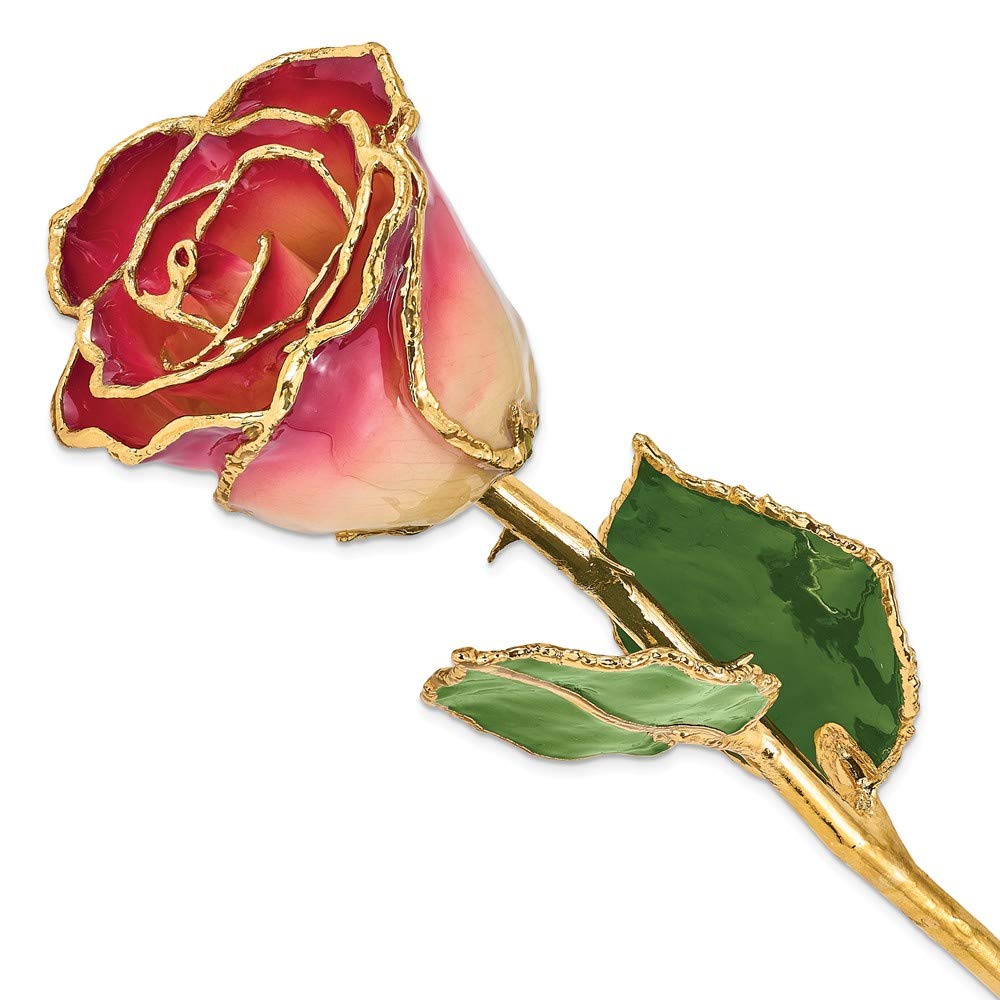 24K Gold Dipped Real Rose Eternal Flower - 11 Inch White & Burgundy Preserved Roses for Wedding Decor, Anniversary Gifts & Luxury Home Decor