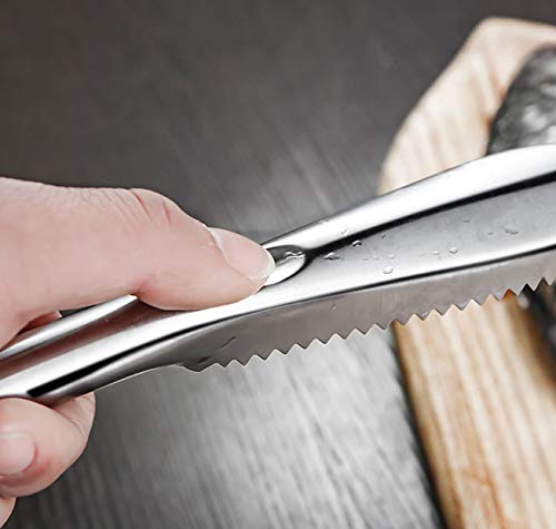 WOIWO Stainless Steel Fish Scale Scraper - Durable Kitchen Tool for Removing Fish Scales Easily - Perfect for Home Cooking, Fishing Trips & Professional Chefs