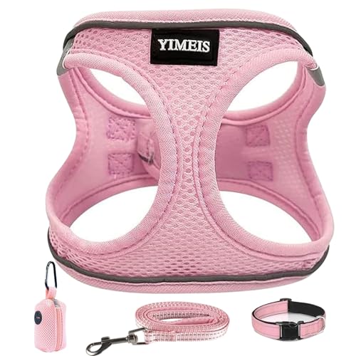 Pink-Update