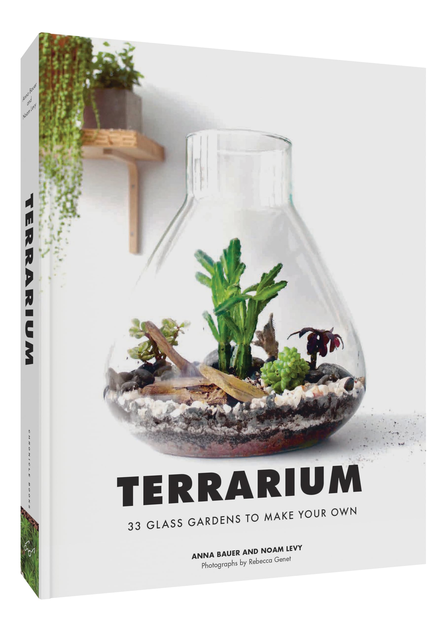 33 DIY Glass Terrarium Kits for Indoor Plants - Create Your Own Miniature Garden for Home Decor, Office Desk, or Gift Ideas