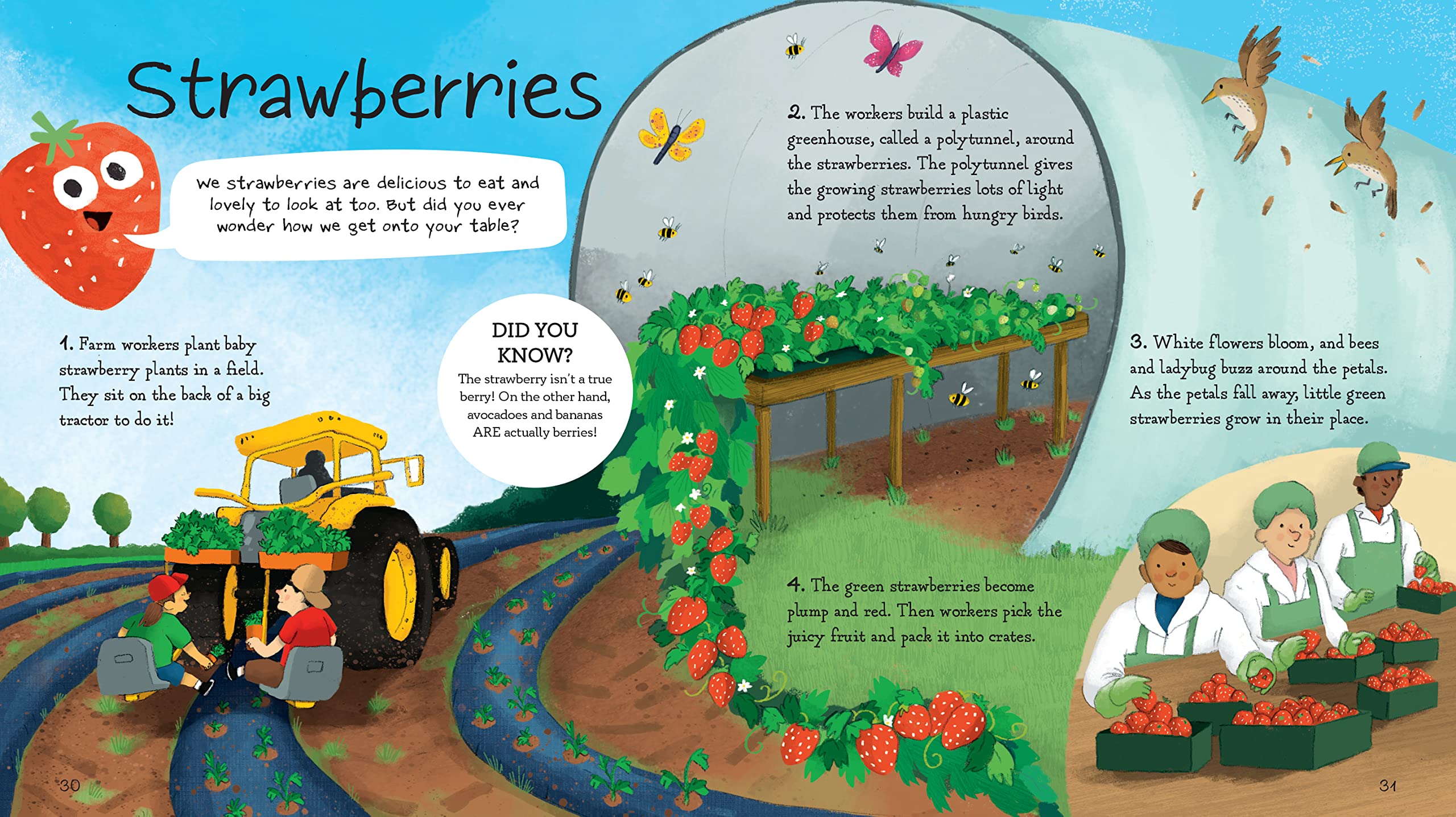 Where Does My Food Come From? | The Story of How Your Favorite Food Is Made | Learn About Food Origins & Production for Kids & Adults