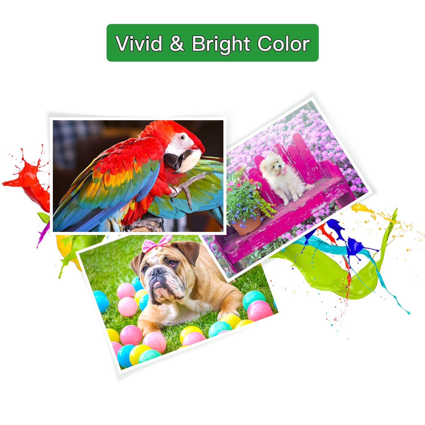 GREENARK LC20E Ink Cartridge for Brother Printers - 2C 2M 2Y Pack for Home & Office Printing
