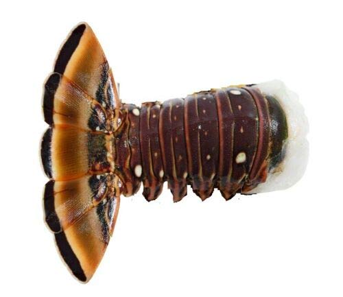 Premium Frozen Warm Water Lobster Tails - 4 Pack (3 oz Each) | Fresh Seafood for Grilling, Baking & Gourmet Meals | Perfect for Special Occasions & Dinner Parties