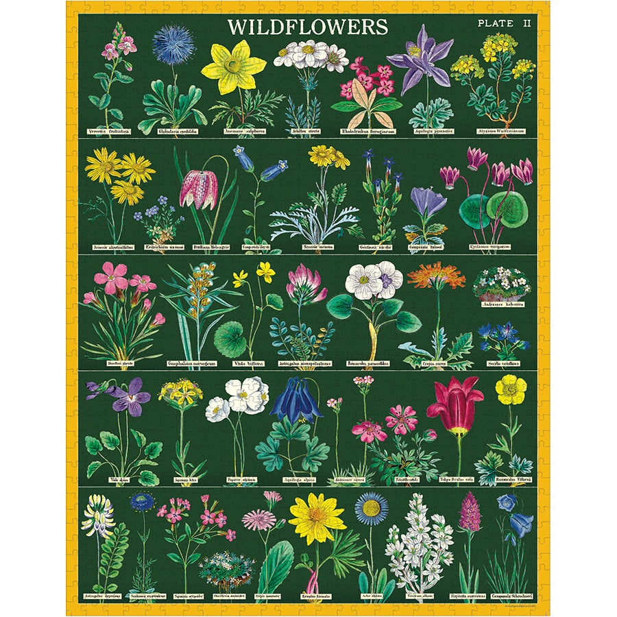 Cavallini & Co 1000-Piece Wildflowers 2 Jigsaw Puzzle for Adults - Challenging Floral Landscape Puzzle for Home Decor, Relaxation & Family Game Night