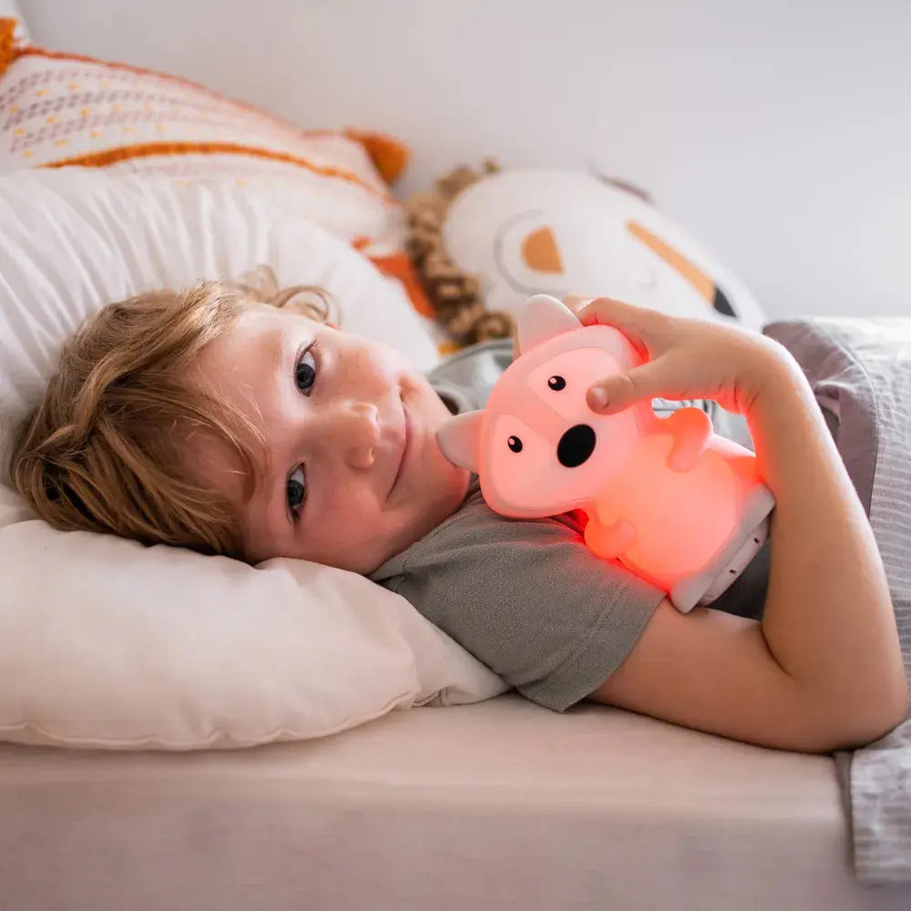Duski Dream Guardian Fox Plush Toy - Cute & Soft Stuffed Animal for Kids, Perfect for Bedtime Comfort, Gifts & Nursery Decor