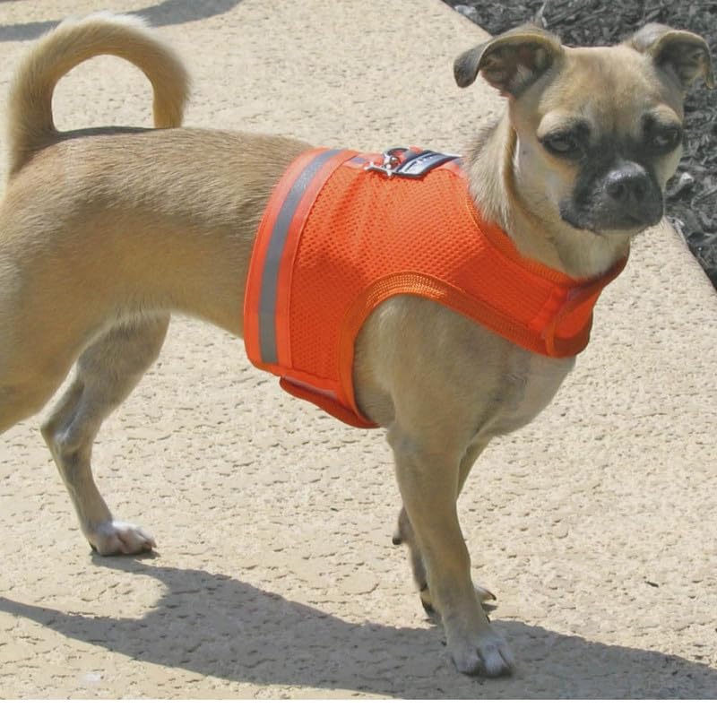 **Reflective Mesh Dog Harness for Small Dogs & Puppies - Lightweight, Breathable & Adjustable with Velcro Closure - Perfect for Walking, Running & Outdoor Adventures**