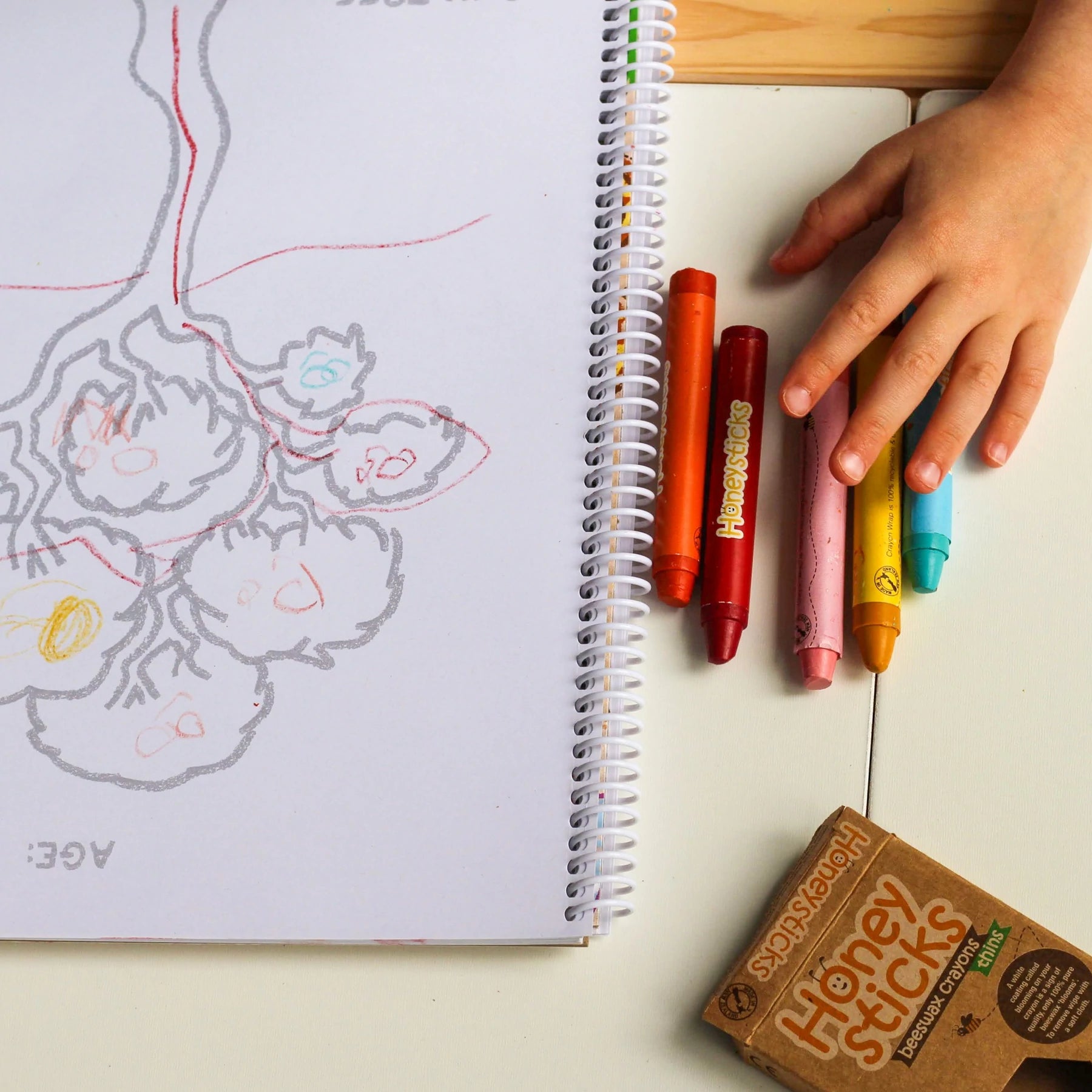 Honeysticks Thins Natural Beeswax Crayons - Non-Toxic, Eco-Friendly Art Supplies for Kids - Perfect for Drawing, Coloring & Crafts at Home or School