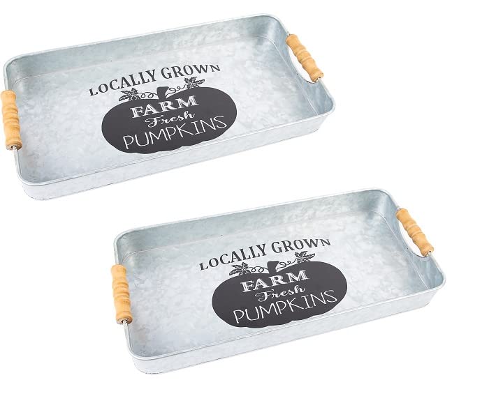 Set of 2 Rustic Metal Serving Trays with Farm Fresh Pumpkins - 17