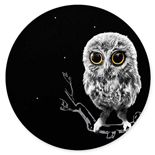 Cute Owl