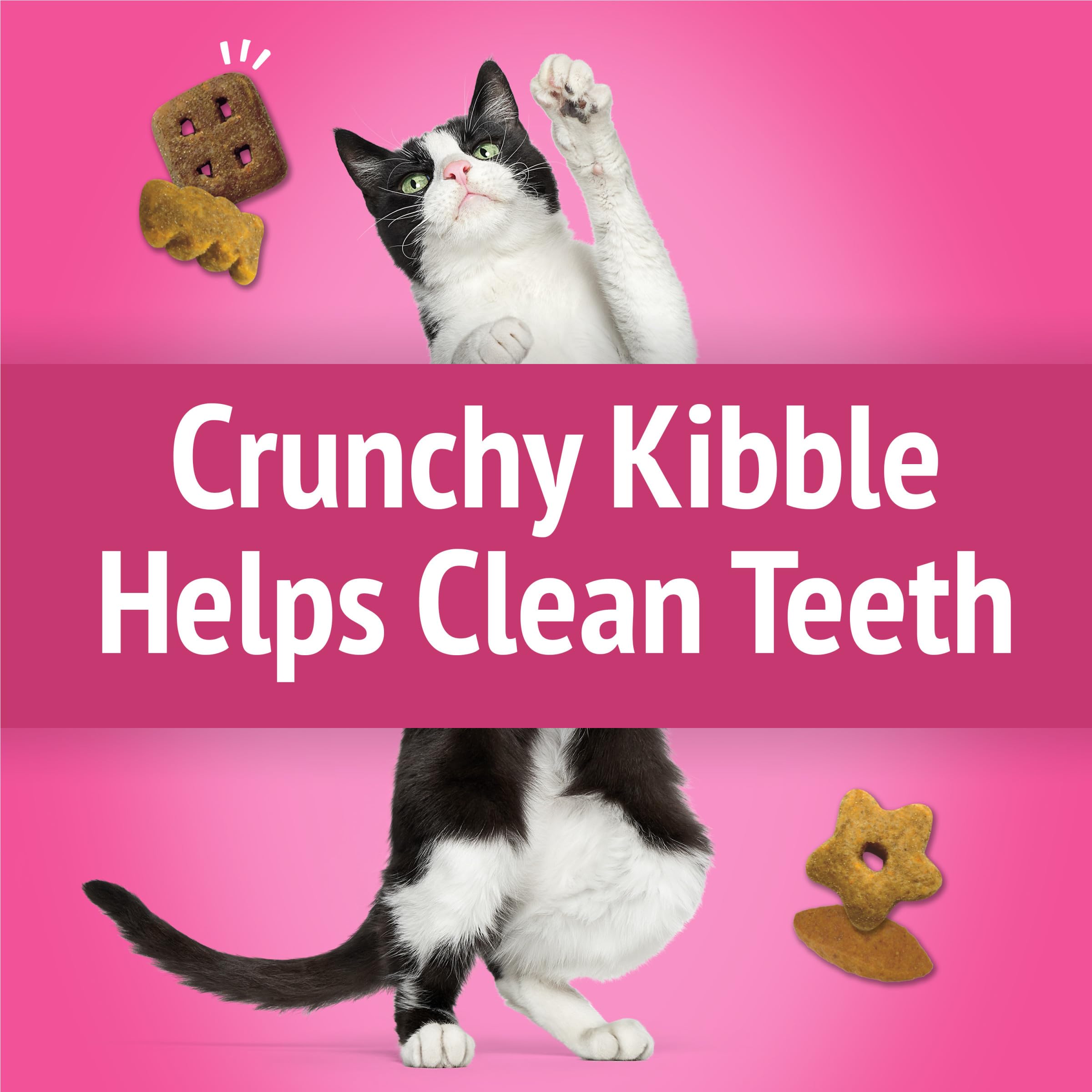 Purina Friskies Cat Treats - Chicken Flavor Party Mix California Crunch, 10 Pack of 2.1 oz Pouches | Crunchy Snacks for Cats, Training Rewards & Playtime Treats