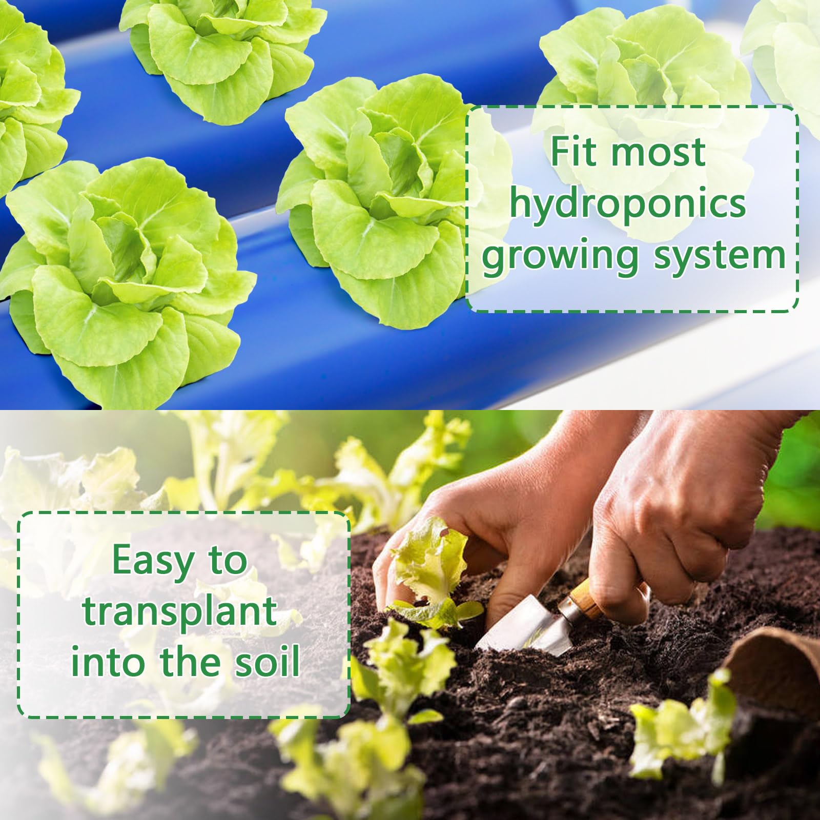 100 Pack Hydroponic Grow Sponges - Seed Starter Sponges for Indoor Gardening, Replacement Root Growth Sponges & Seed Pods Kit | Perfect for Hydroponic Systems, Aeroponics, and Home Herb Gardens