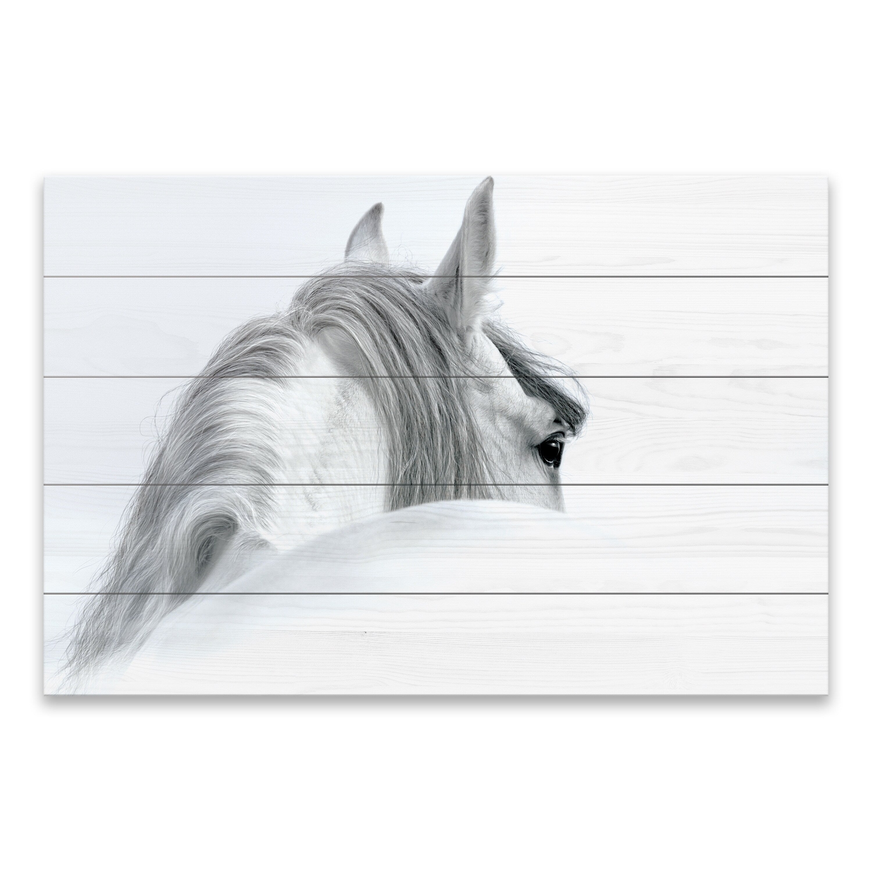 Andalusian Horse in Mist Wood Wall Art - 36W x 23.875H x 0.875D - Multi-Color Canvas Print - Perfect for Living Room, Bedroom & Office Decor