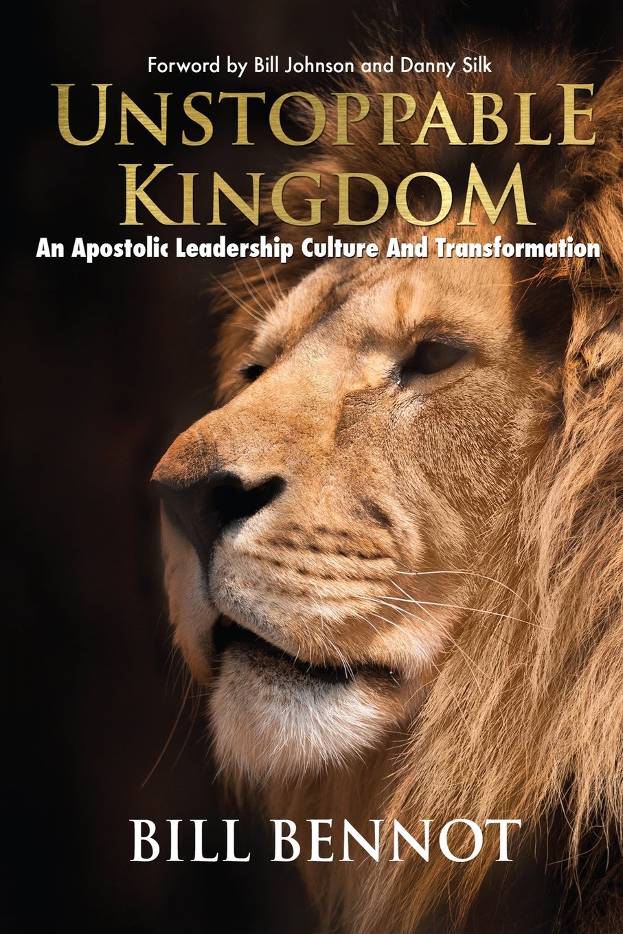 Unstoppable Kingdom: Apostolic Leadership Culture and Transformation - Christian Ministry Book for Church Leaders and Pastors