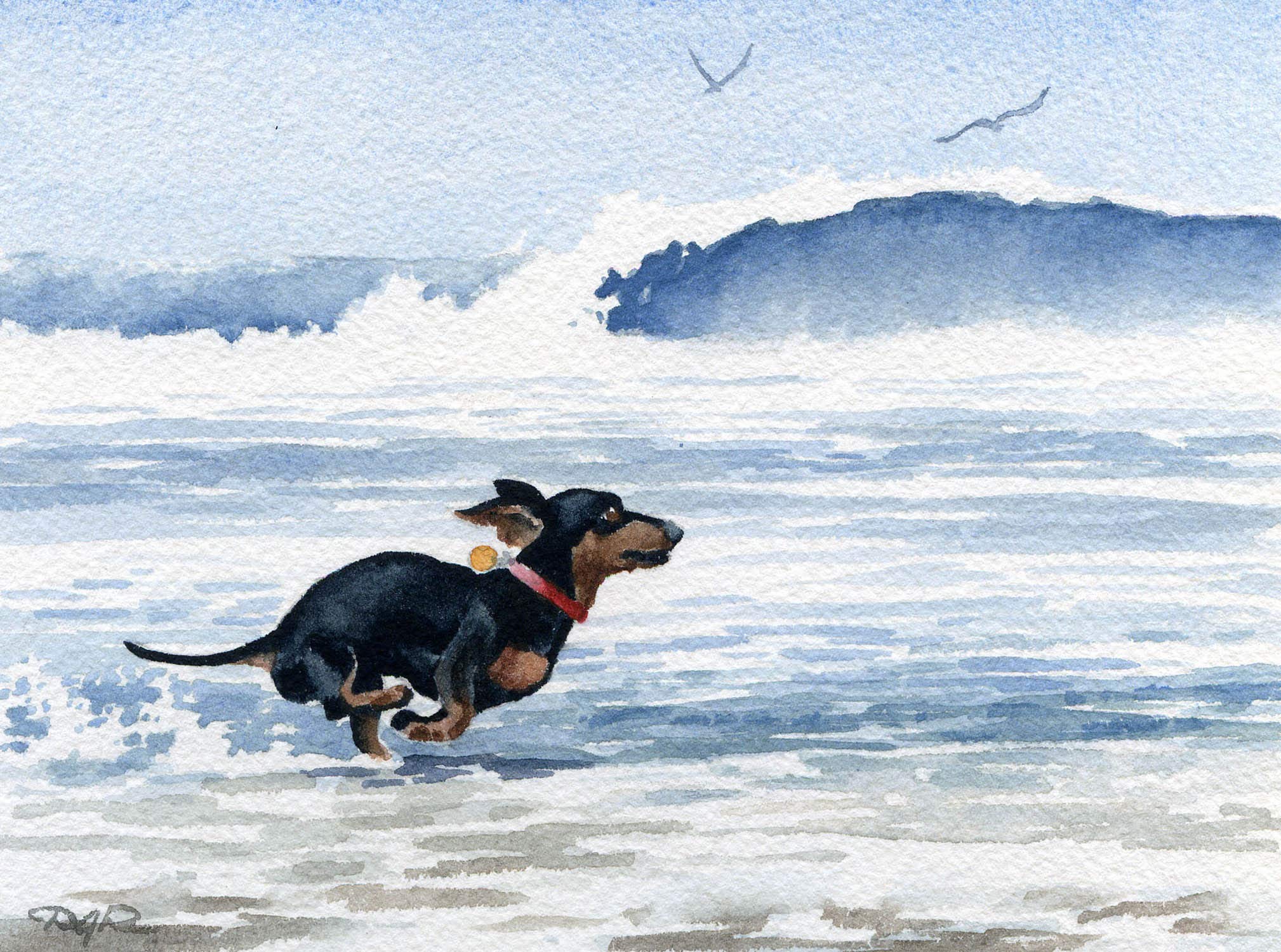 Dachshund Running at the Beach Watercolor Art Print - Oversized Wall Decor by Artist DJ Rogers | Perfect for Living Room, Bedroom & Office Decor