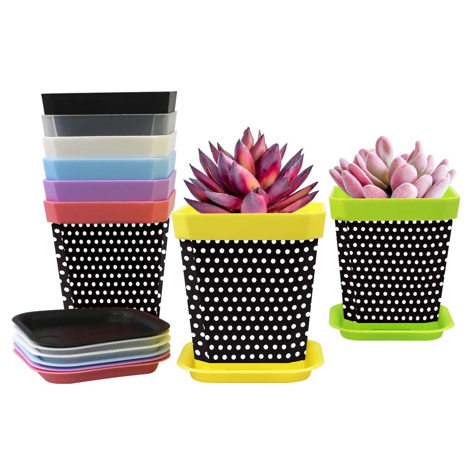 8 Pack Flower Plant Pots with Saucers - Thick Multi-Color Polka Dot Planters for Indoor & Outdoor Decor - Perfect for Home, Garden, Office, Balcony (Black & White)