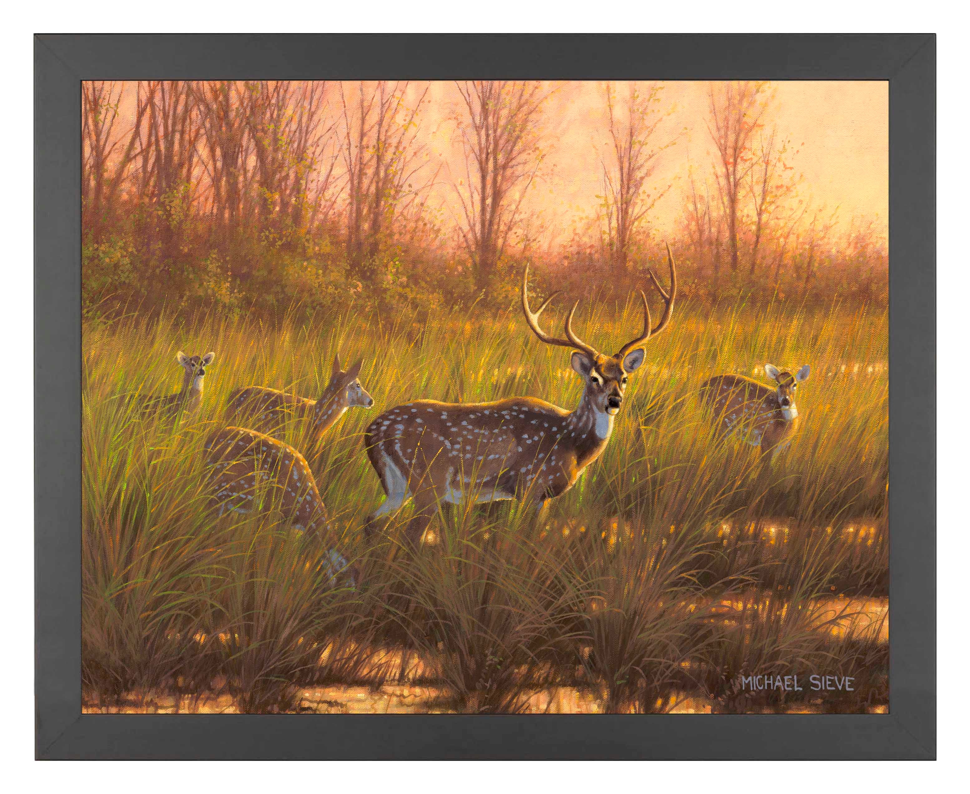 Chital Deer Art Prints - Stunning Wildlife Wall Decor for Home, Office & Gifts | High-Quality Fine Art Prints